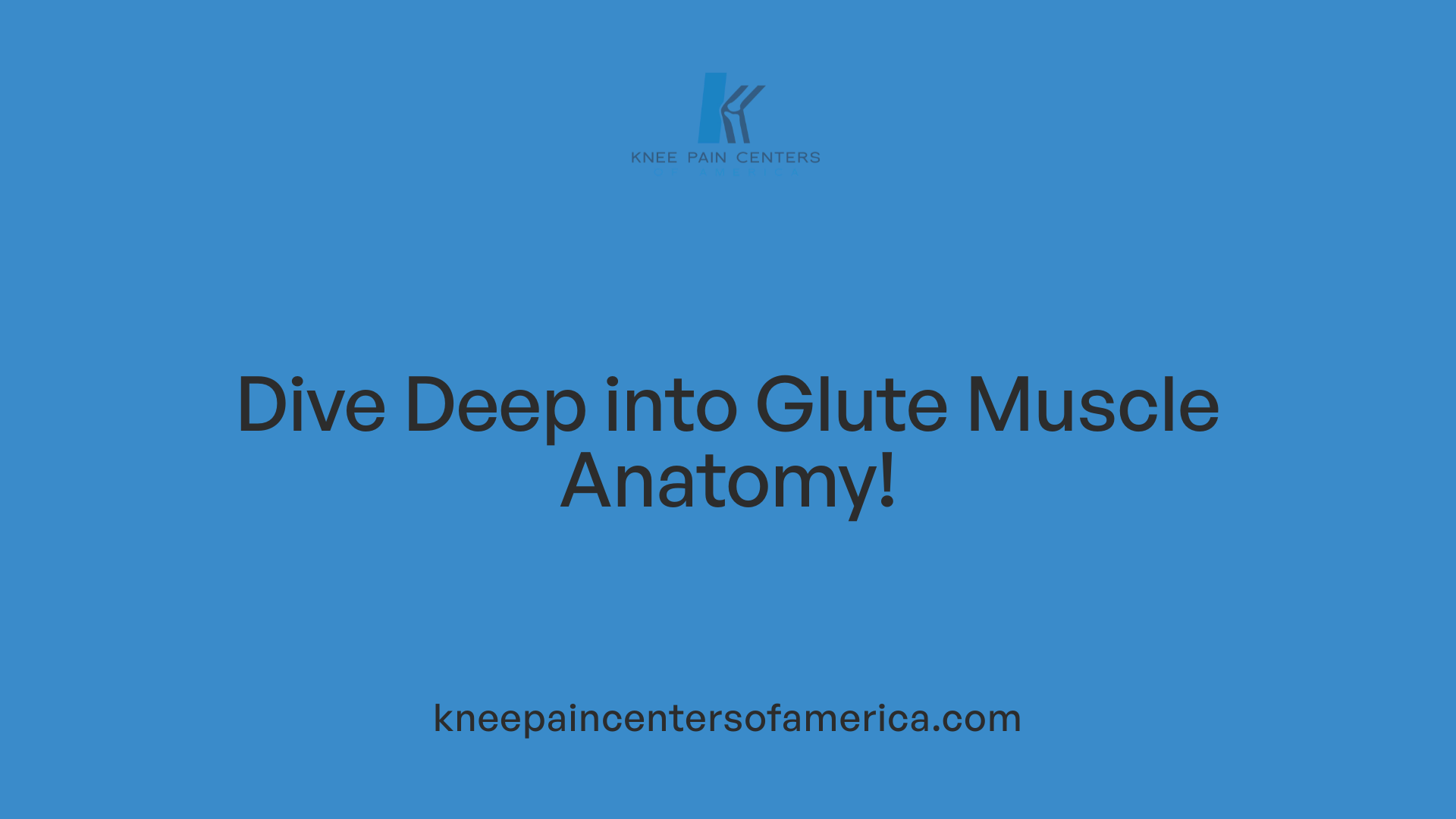 Dive Deep into Glute Muscle Anatomy!