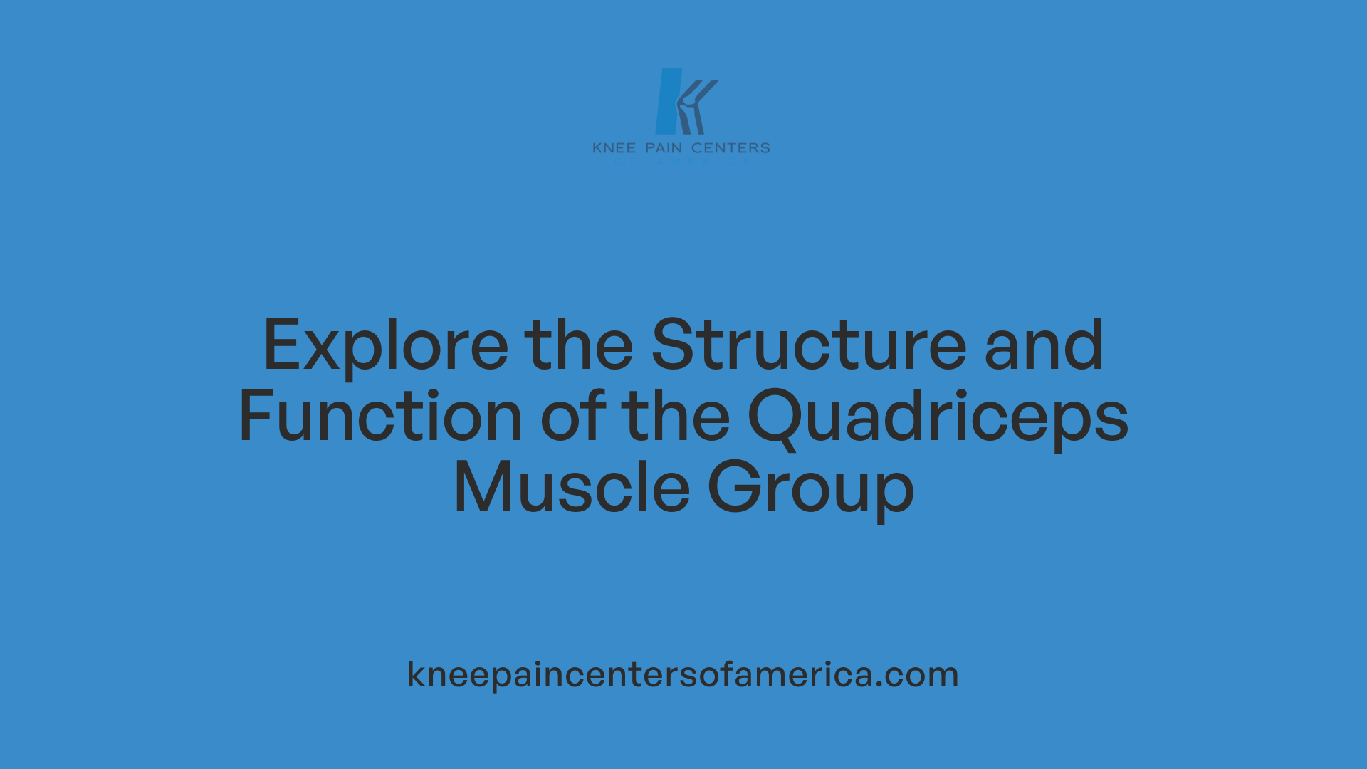 Explore the Structure and Function of the Quadriceps Muscle Group