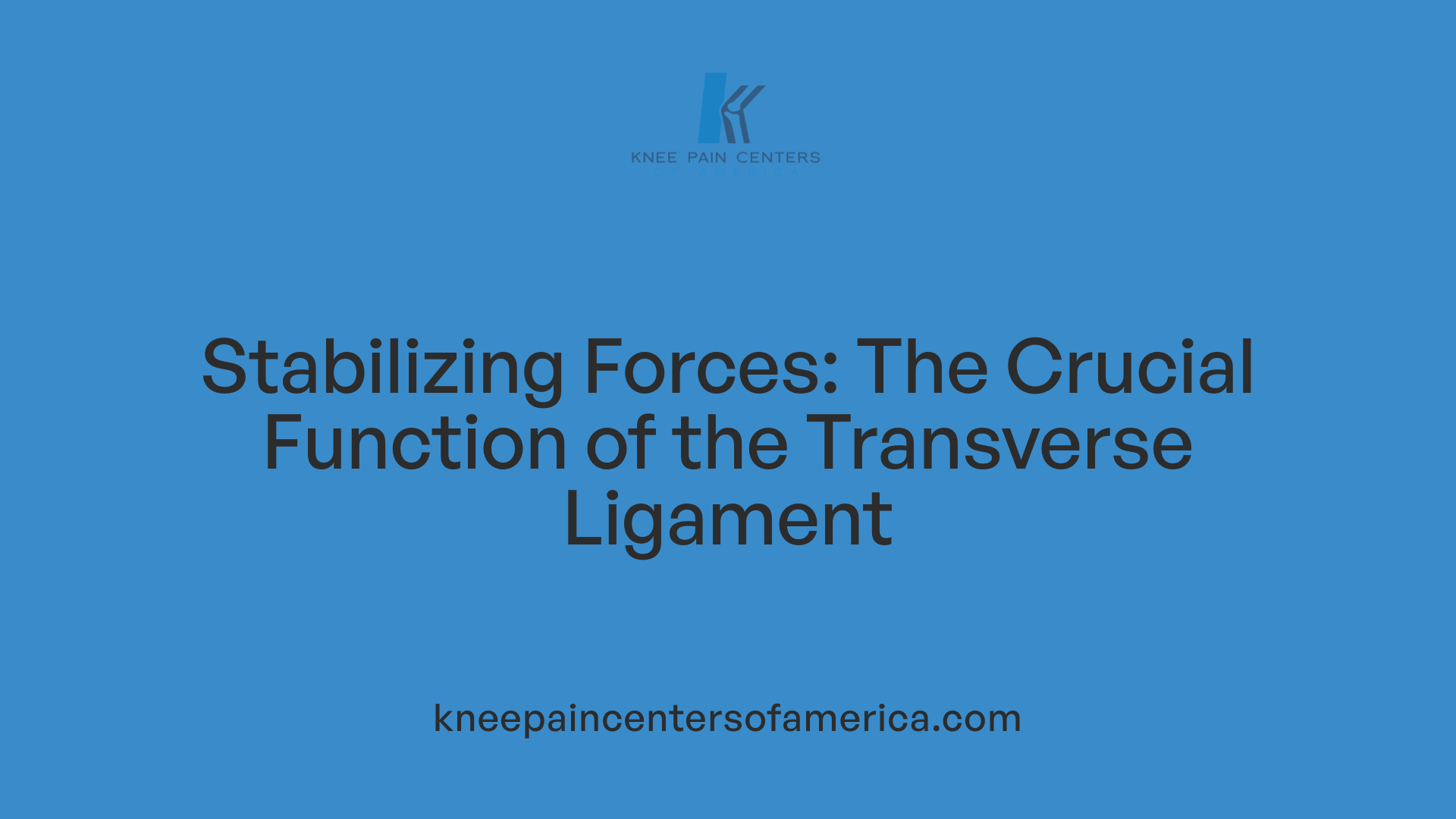 Stabilizing Forces: The Crucial Function of the Transverse Ligament