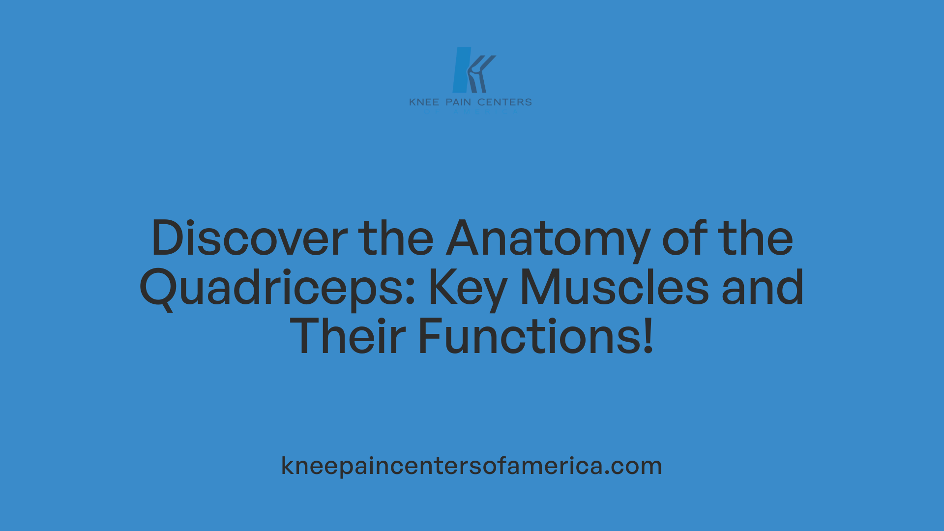 Discover the Anatomy of the Quadriceps: Key Muscles and Their Functions!