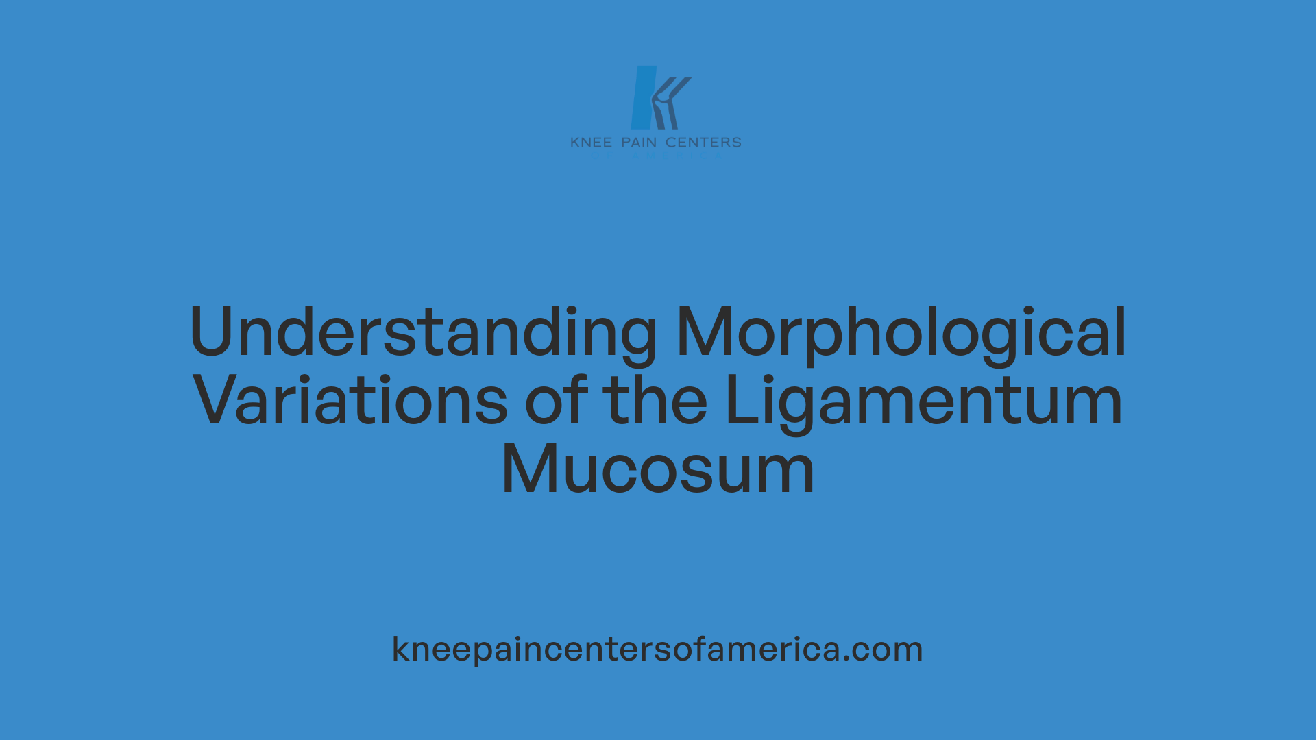 Understanding Morphological Variations of the Ligamentum Mucosum
