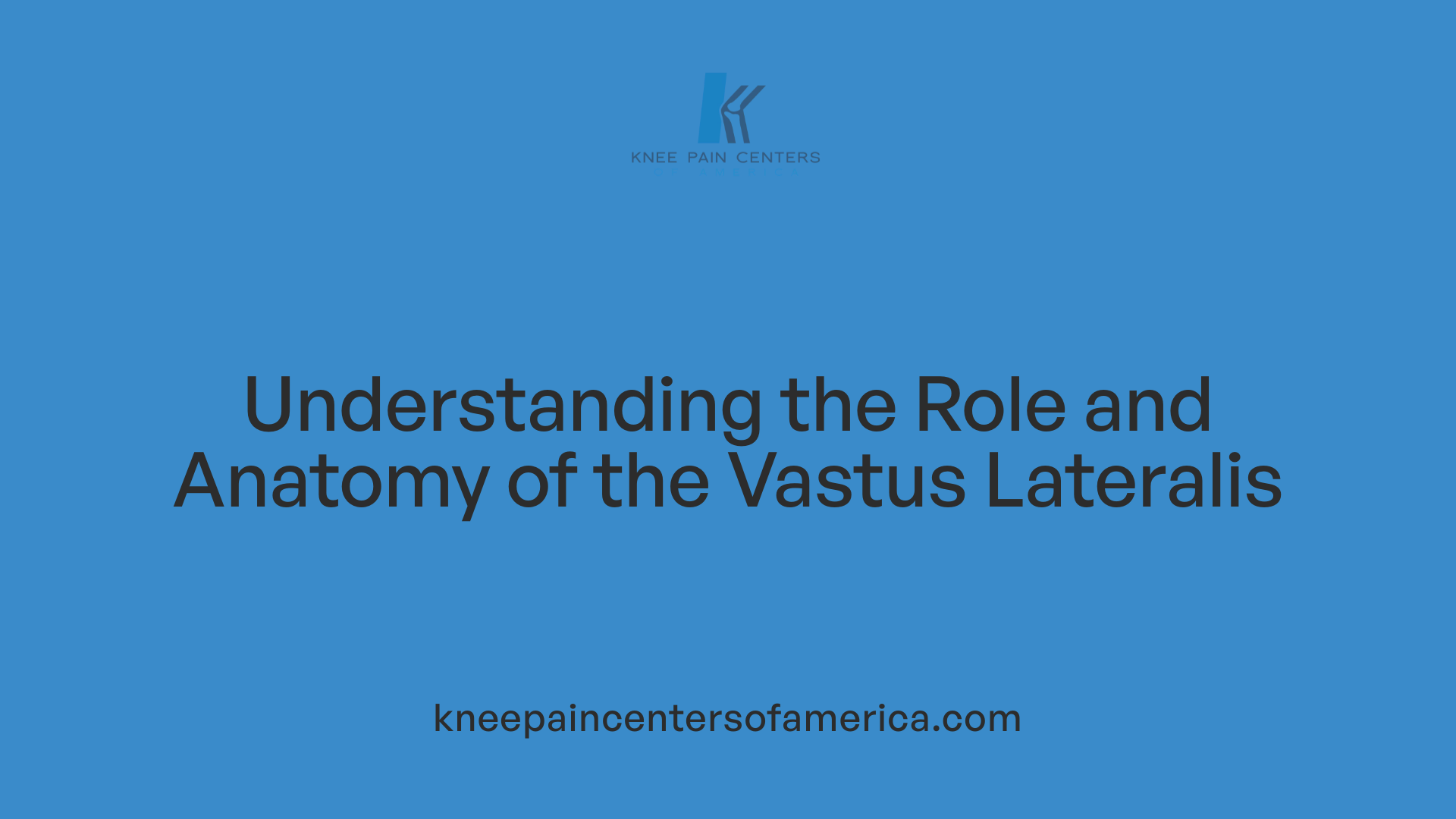 Understanding the Role and Anatomy of the Vastus Lateralis