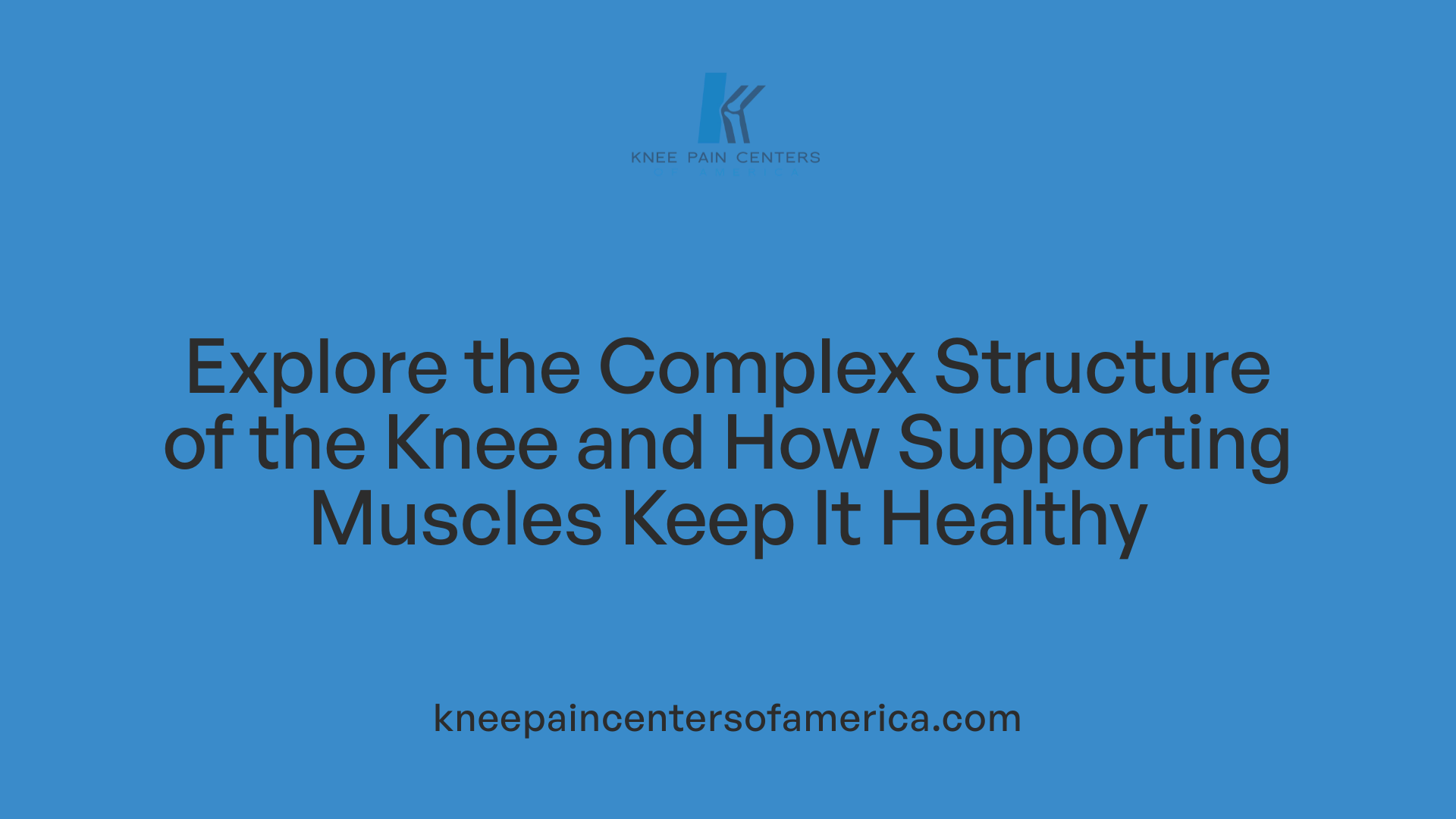 Explore the Complex Structure of the Knee and How Supporting Muscles Keep It Healthy