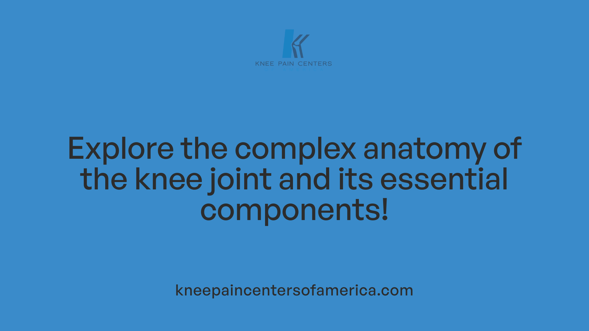 Explore the complex anatomy of the knee joint and its essential components!