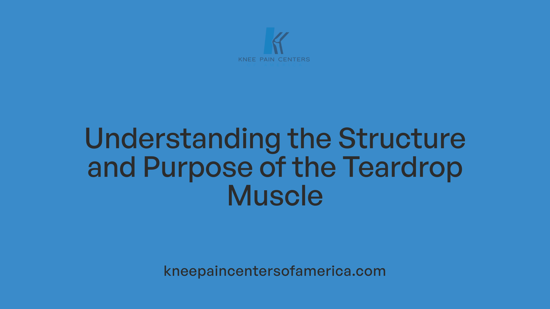 Understanding the Structure and Purpose of the Teardrop Muscle