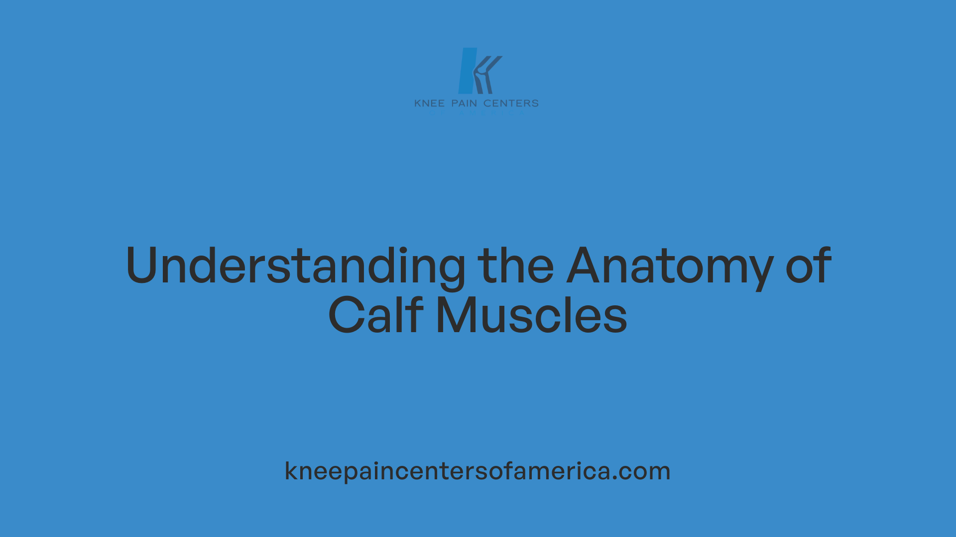 Understanding the Anatomy of Calf Muscles