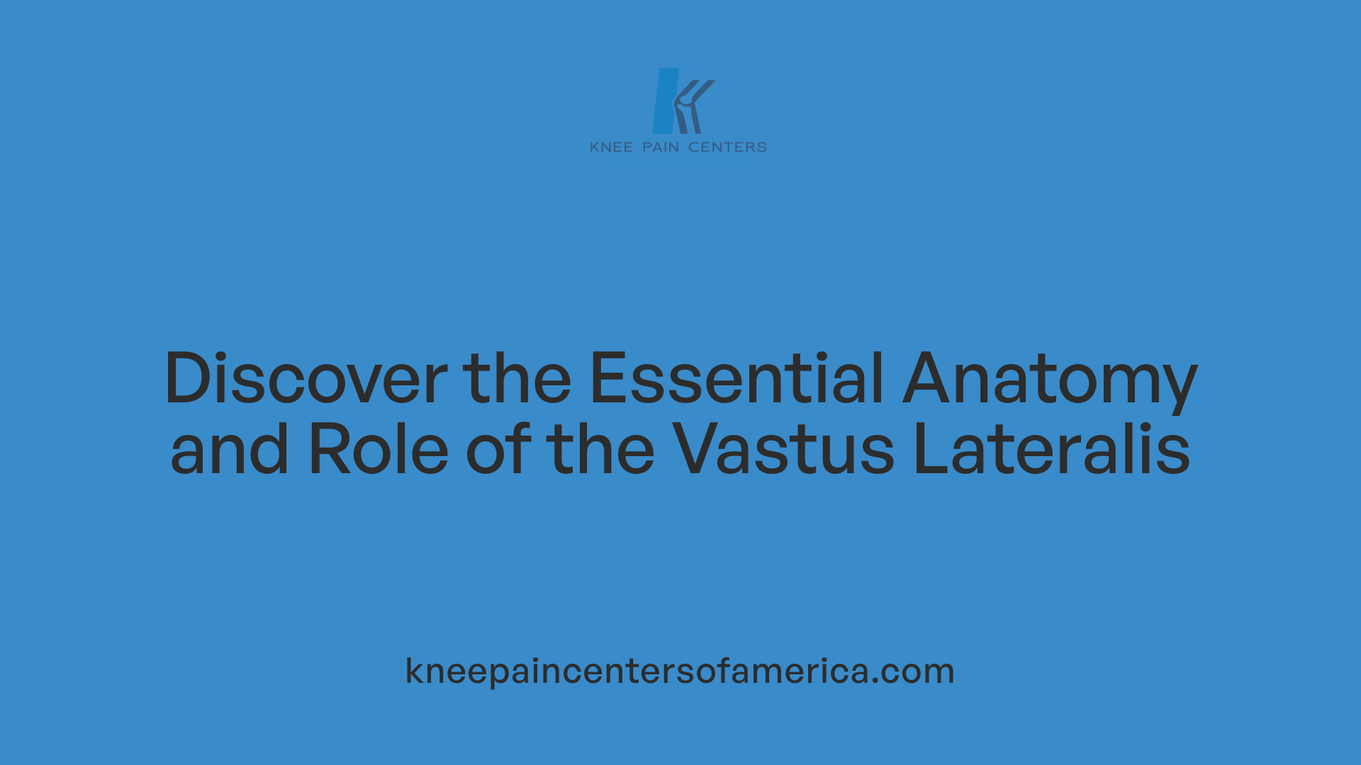 Discover the Essential Anatomy and Role of the Vastus Lateralis