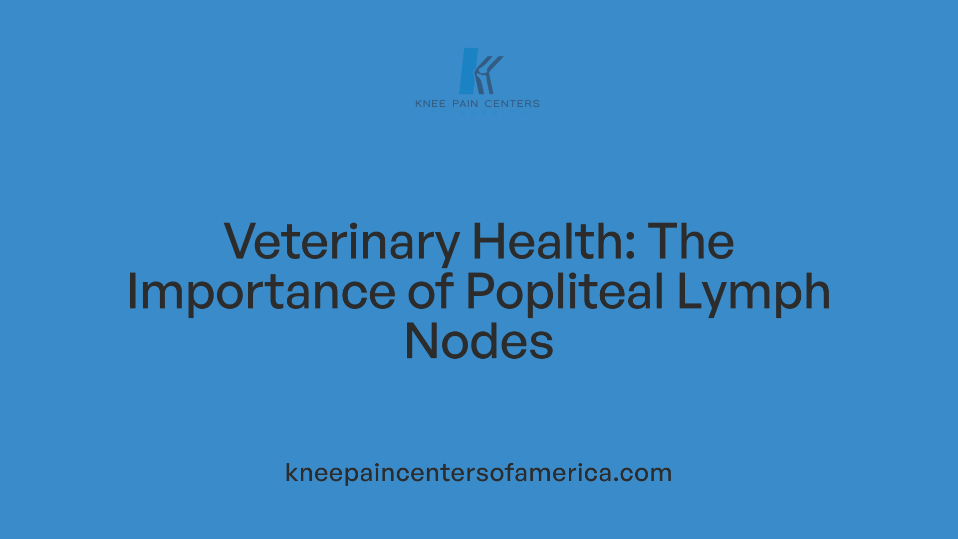 Veterinary Health: The Importance of Popliteal Lymph Nodes