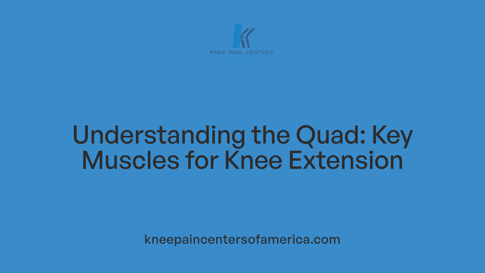 Understanding the Quad: Key Muscles for Knee Extension