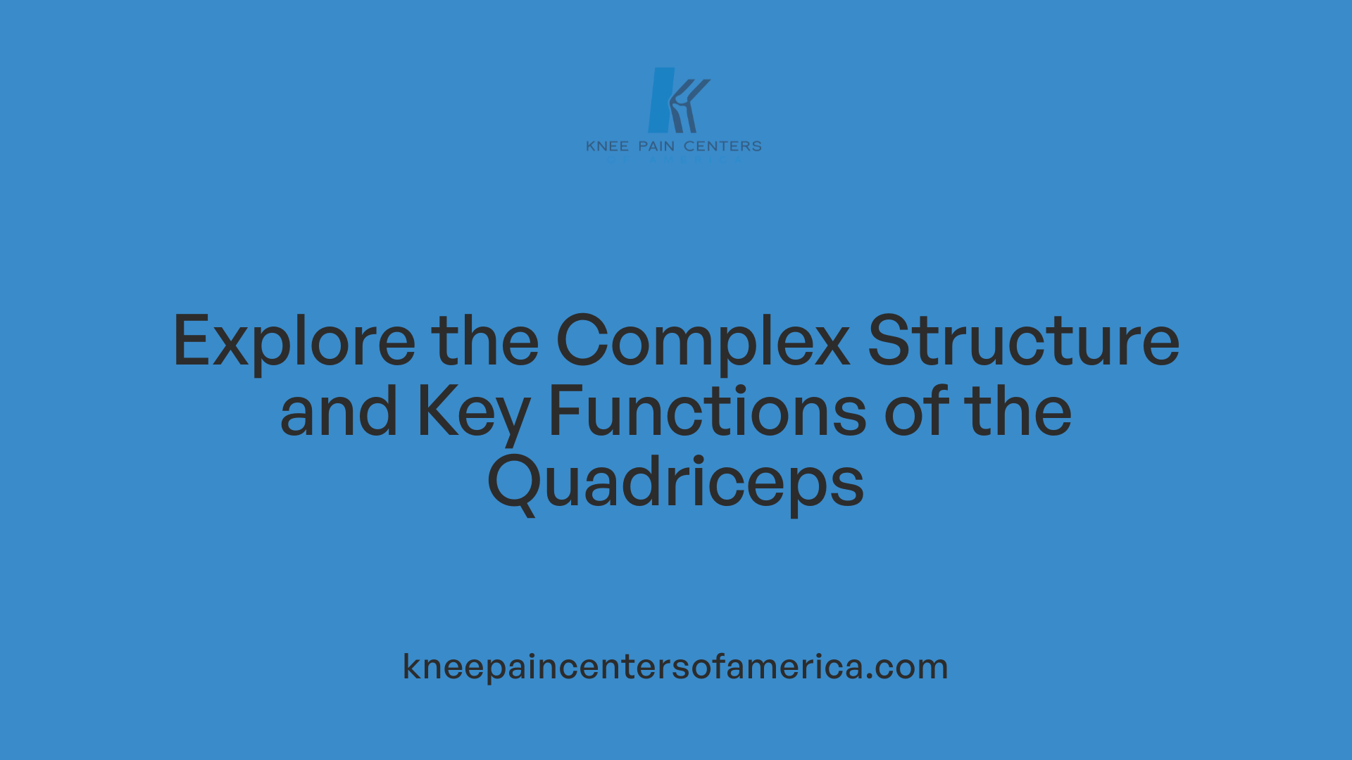 Explore the Complex Structure and Key Functions of the Quadriceps