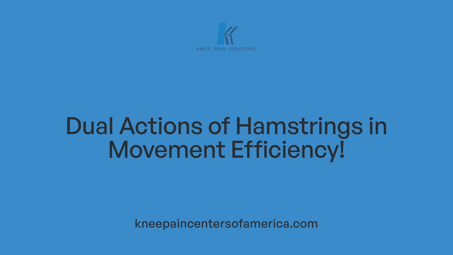 Dual Actions of Hamstrings in Movement Efficiency!