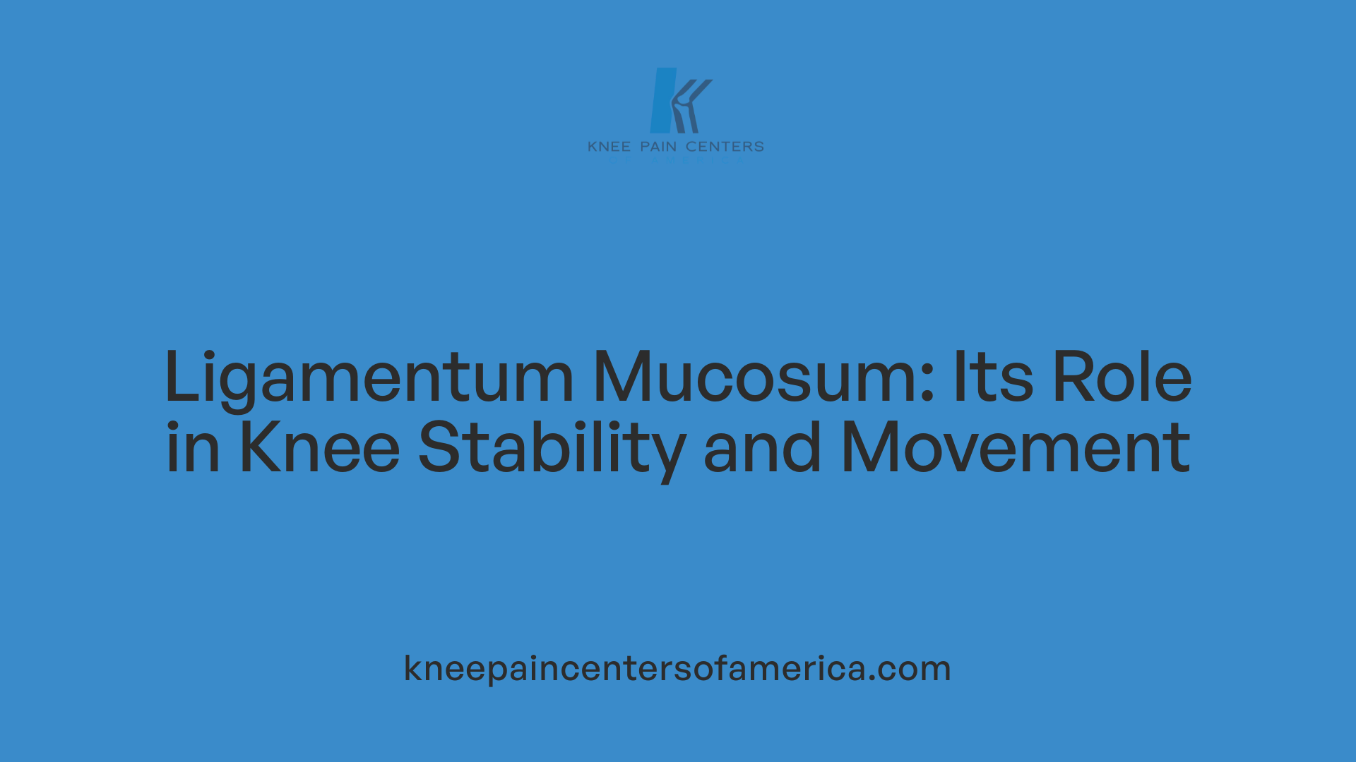 Ligamentum Mucosum: Its Role in Knee Stability and Movement