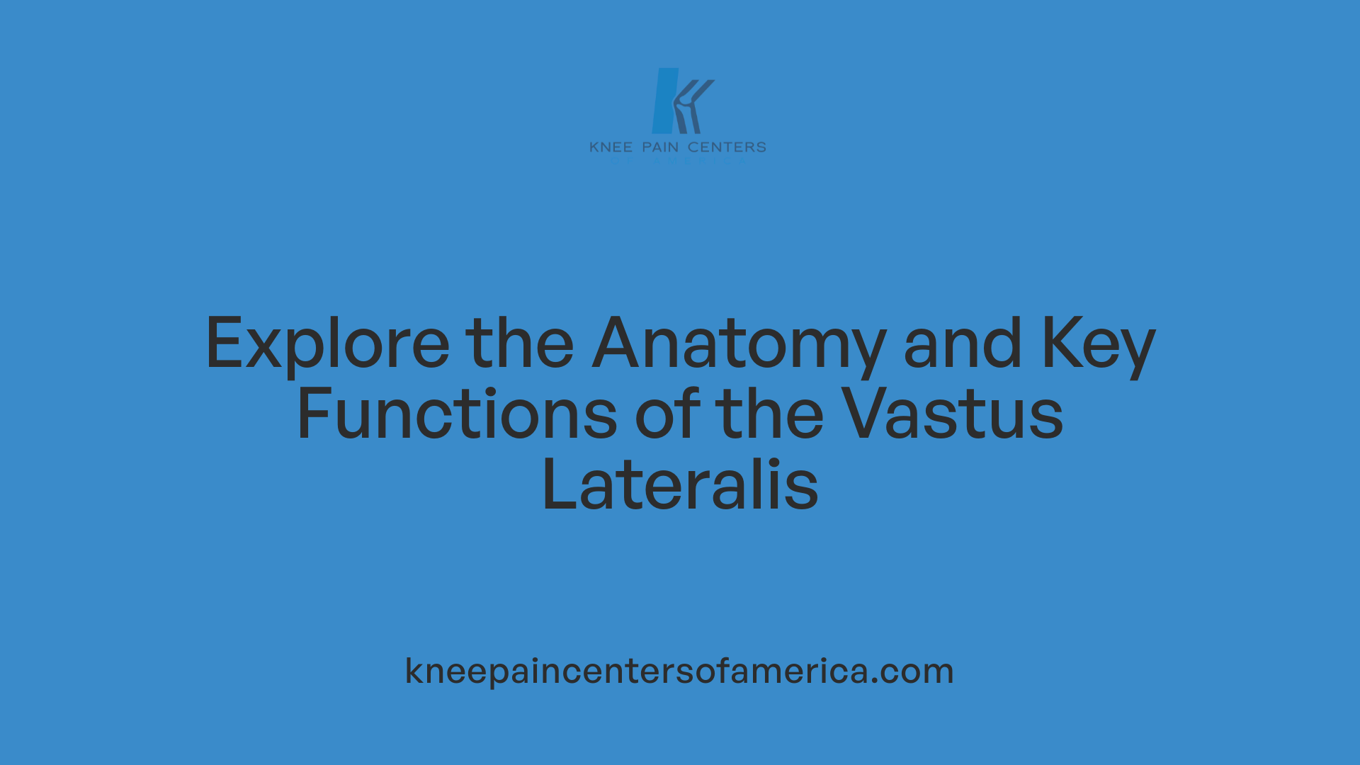 Explore the Anatomy and Key Functions of the Vastus Lateralis