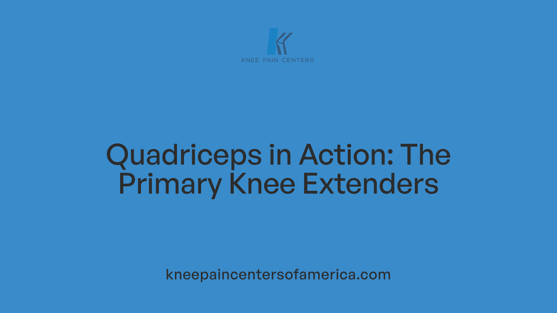 Quadriceps in Action: The Primary Knee Extenders