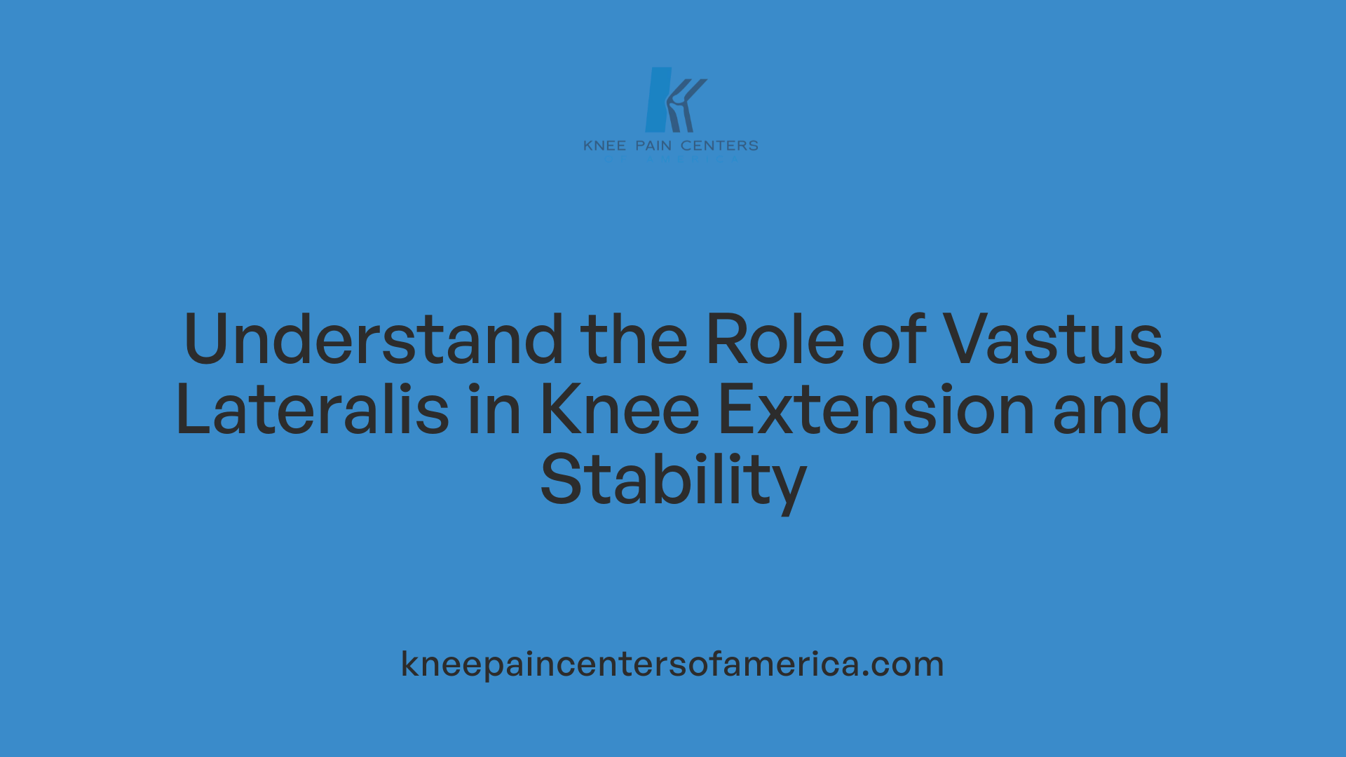 Understand the Role of Vastus Lateralis in Knee Extension and Stability