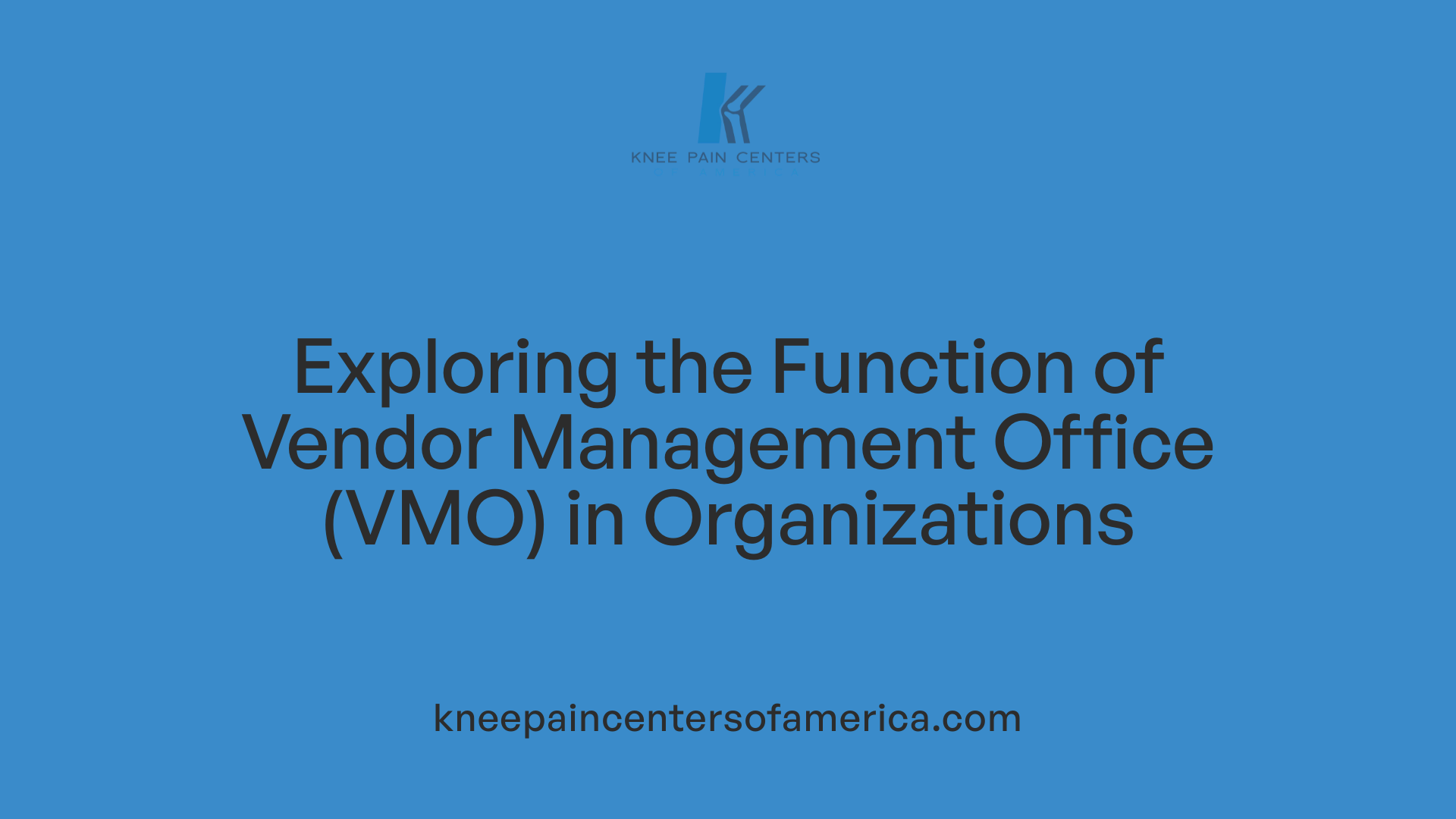 Exploring the Function of Vendor Management Office (VMO) in Organizations