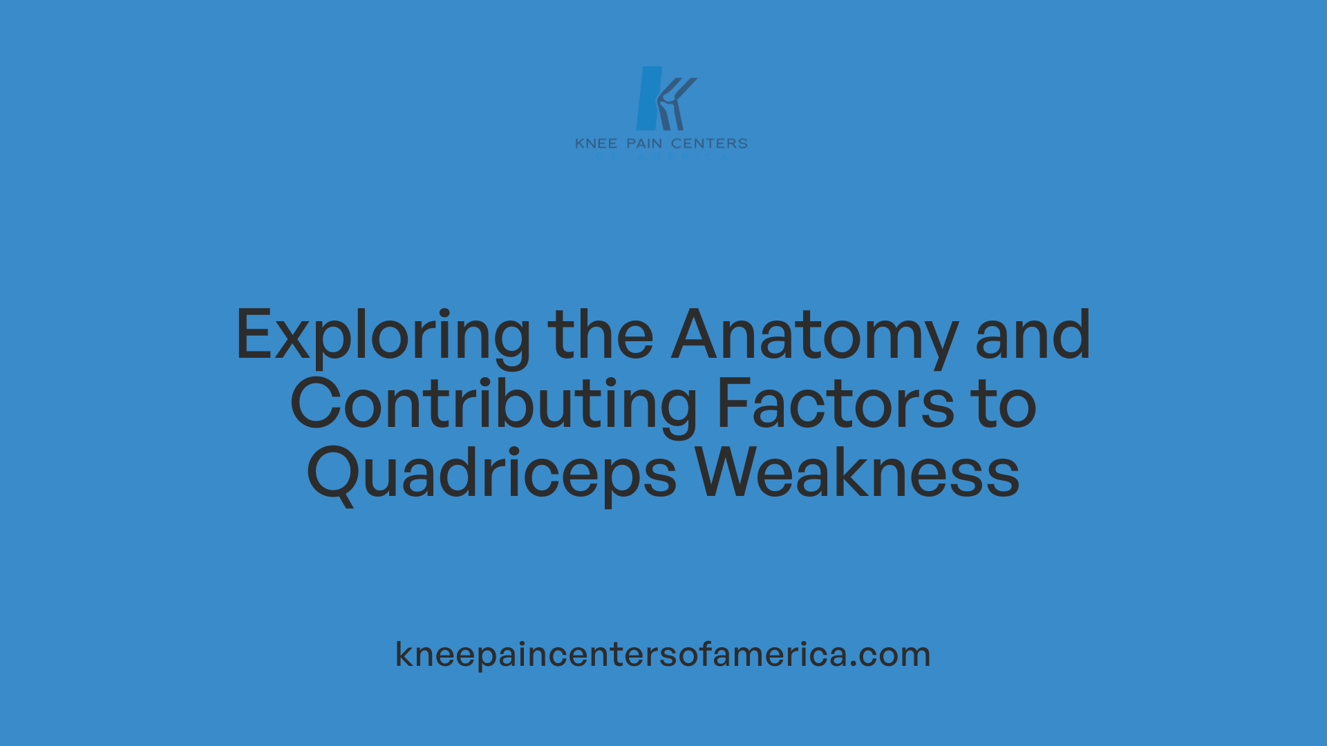 Exploring the Anatomy and Contributing Factors to Quadriceps Weakness