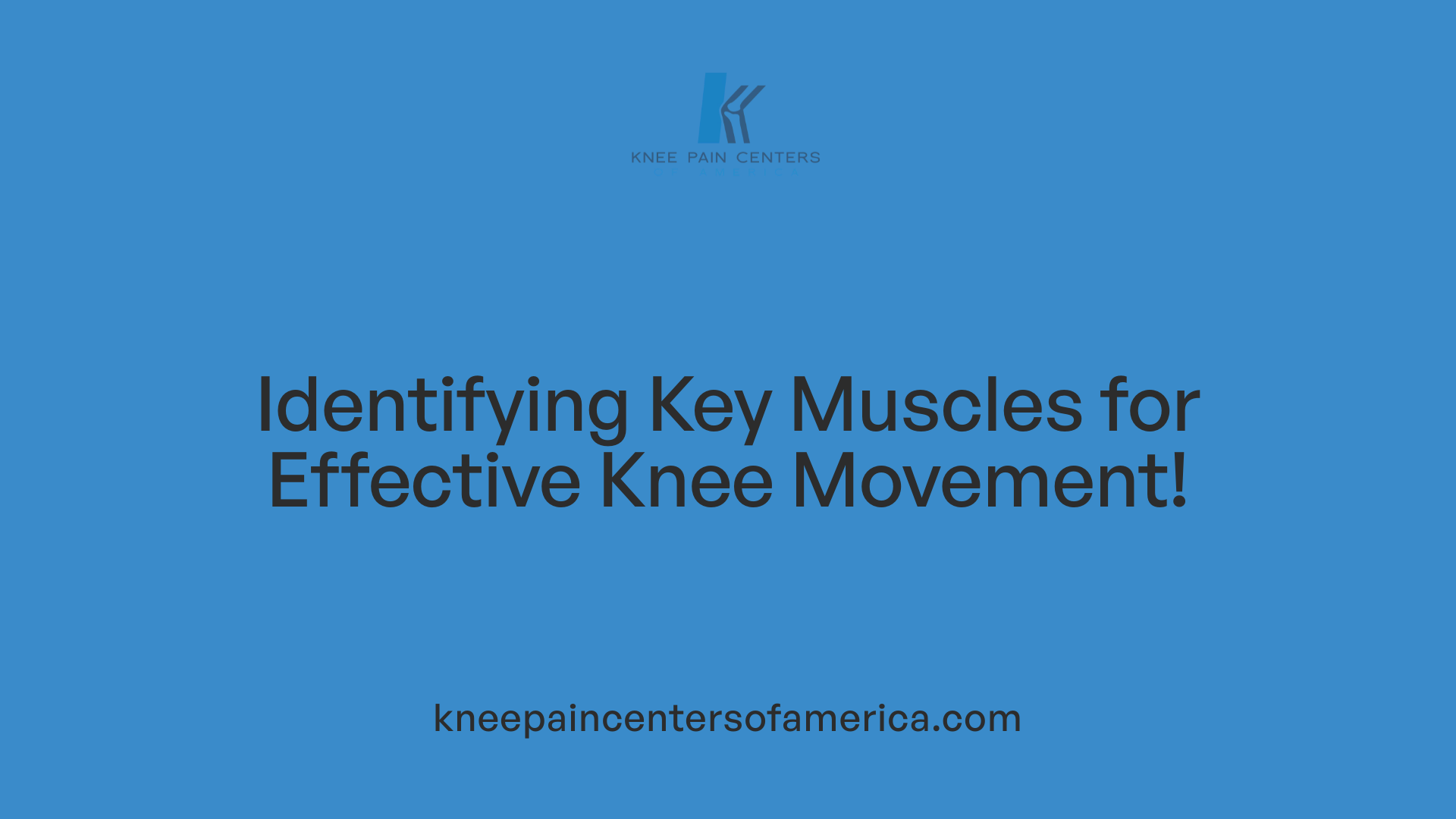 Identifying Key Muscles for Effective Knee Movement!