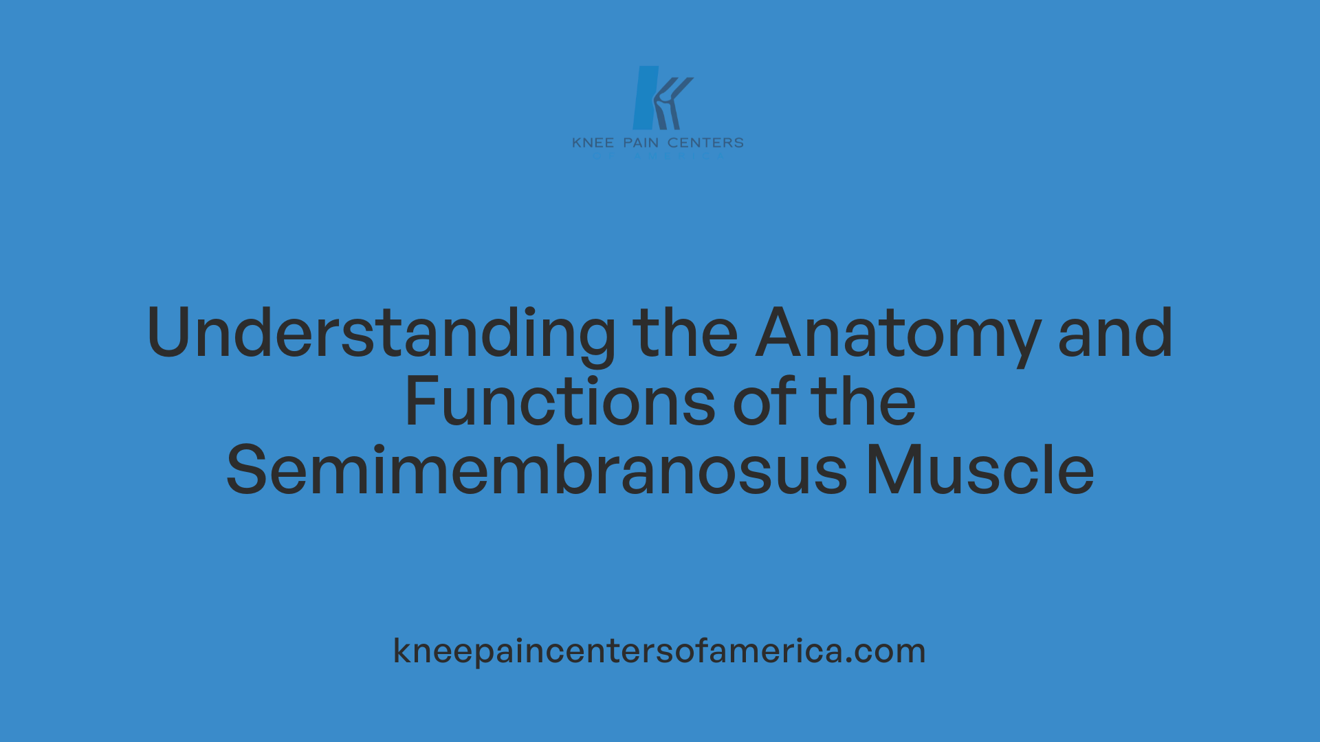 Understanding the Anatomy and Functions of the Semimembranosus Muscle