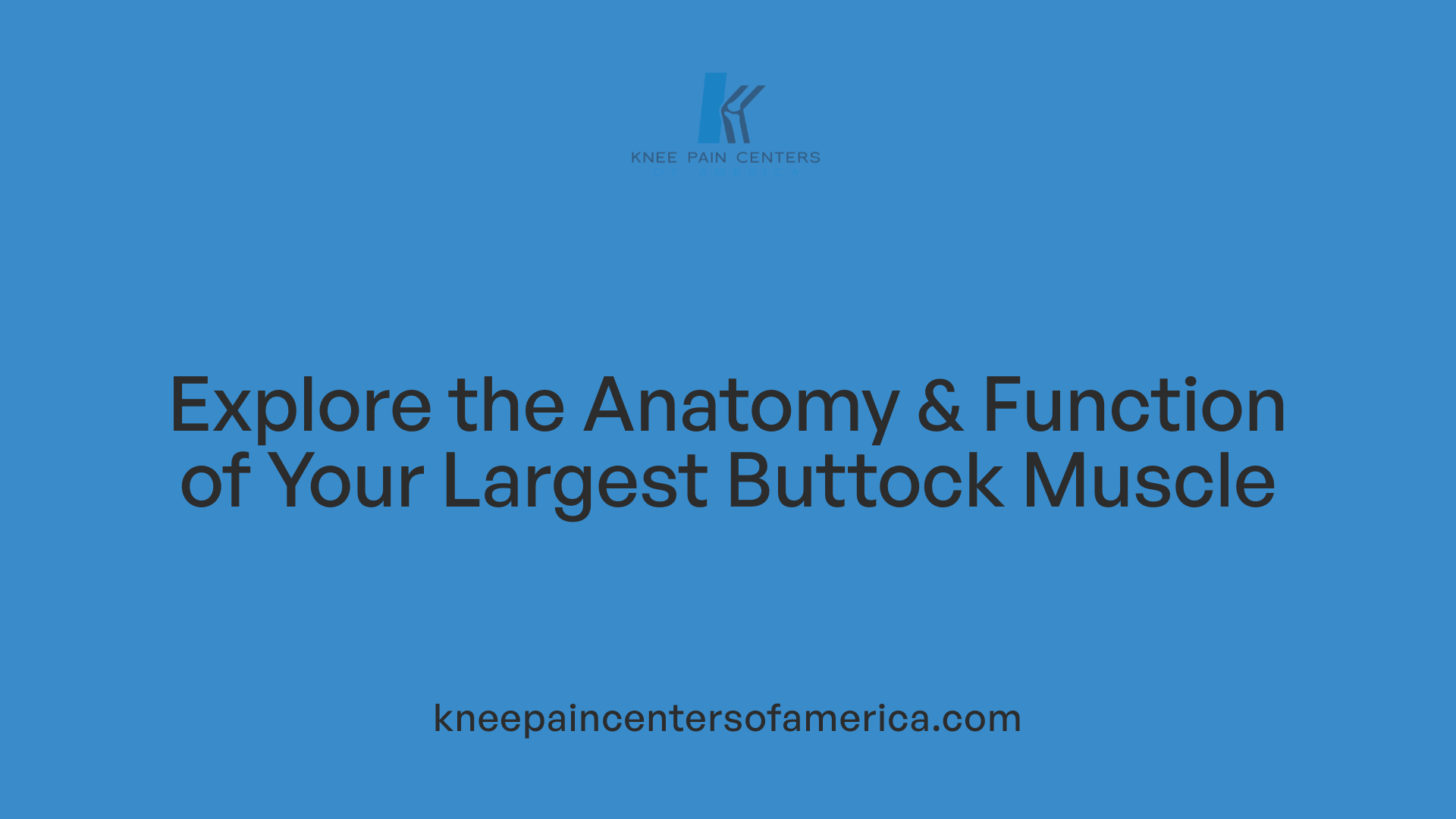 Explore the Anatomy &amp; Function of Your Largest Buttock Muscle