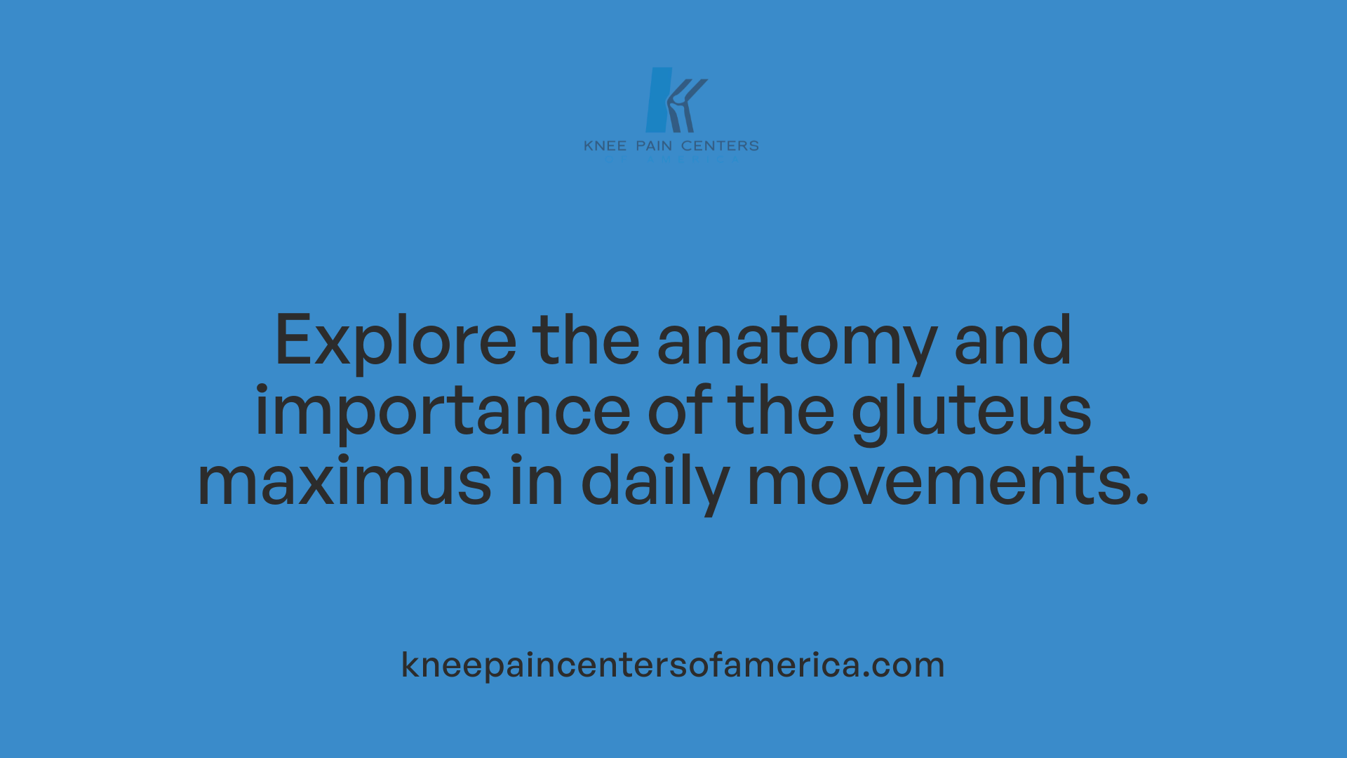 Explore the anatomy and importance of the gluteus maximus in daily movements.