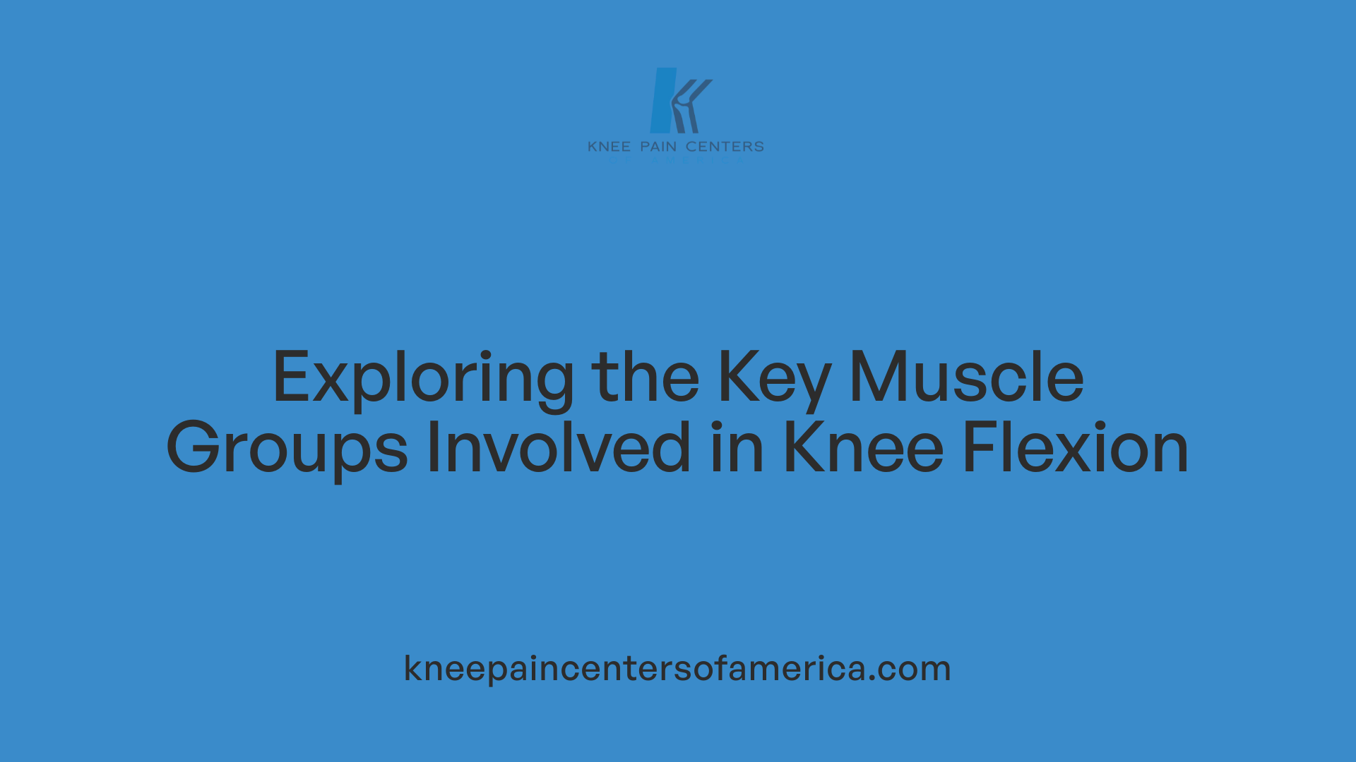 Exploring the Key Muscle Groups Involved in Knee Flexion