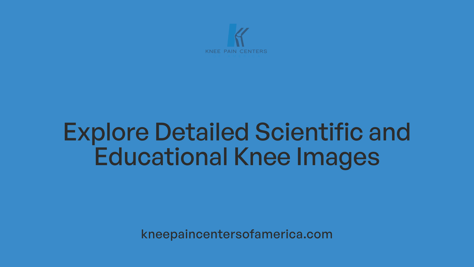Explore Detailed Scientific and Educational Knee Images