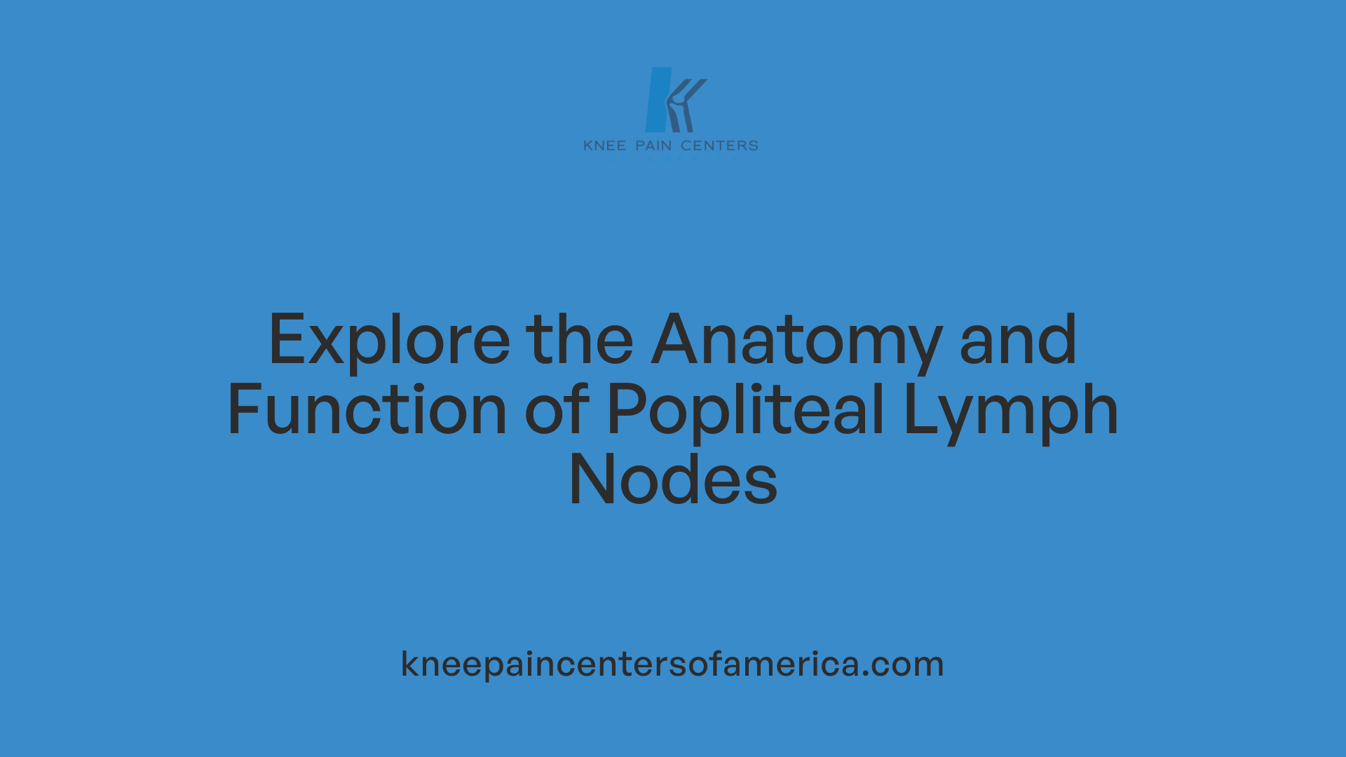 Explore the Anatomy and Function of Popliteal Lymph Nodes