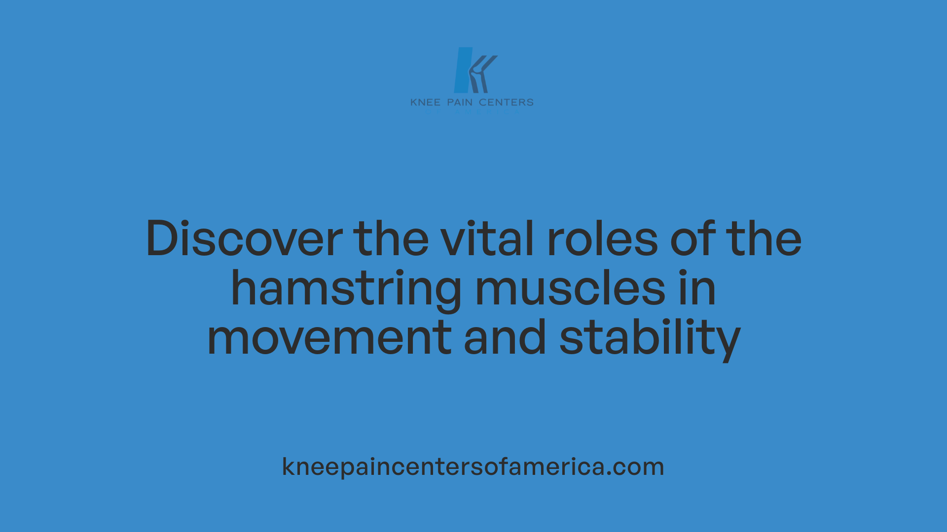 Discover the vital roles of the hamstring muscles in movement and stability