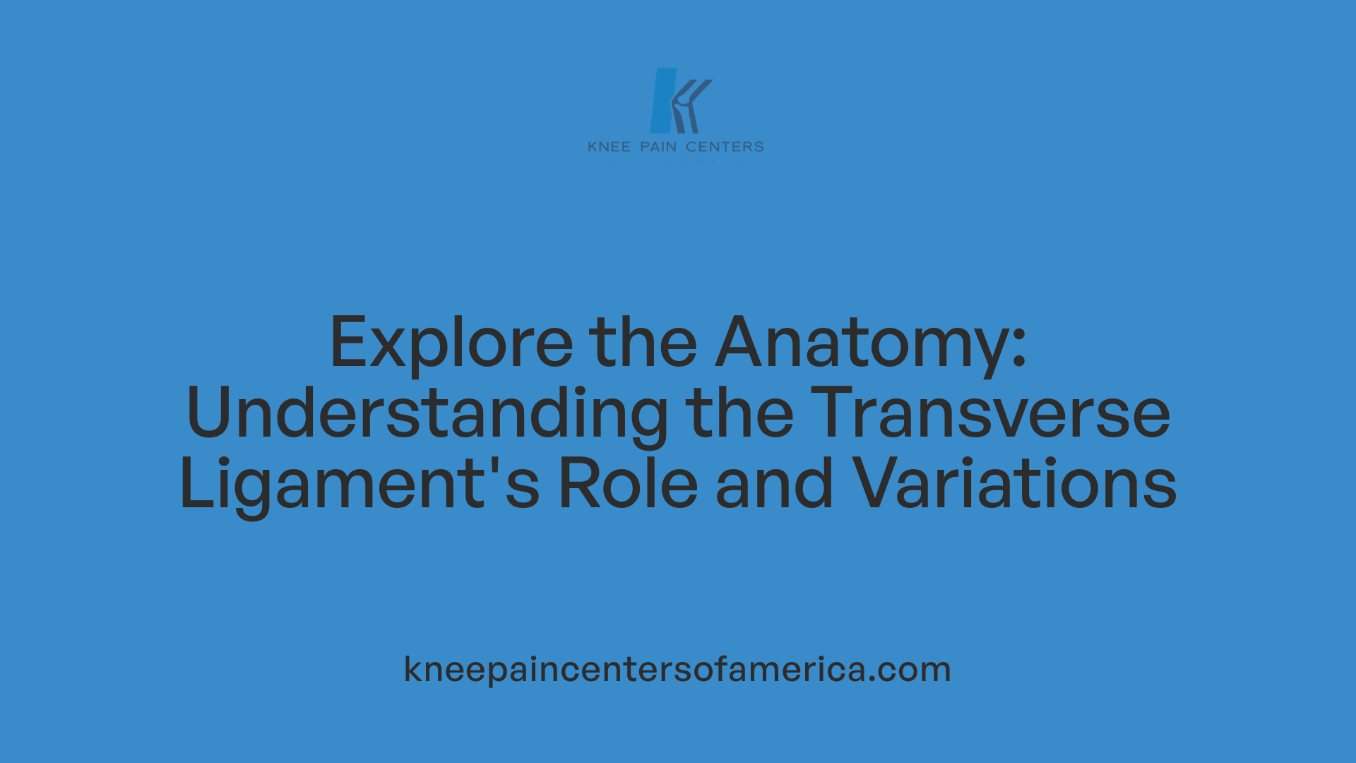 Explore the Anatomy: Understanding the Transverse Ligament's Role and Variations