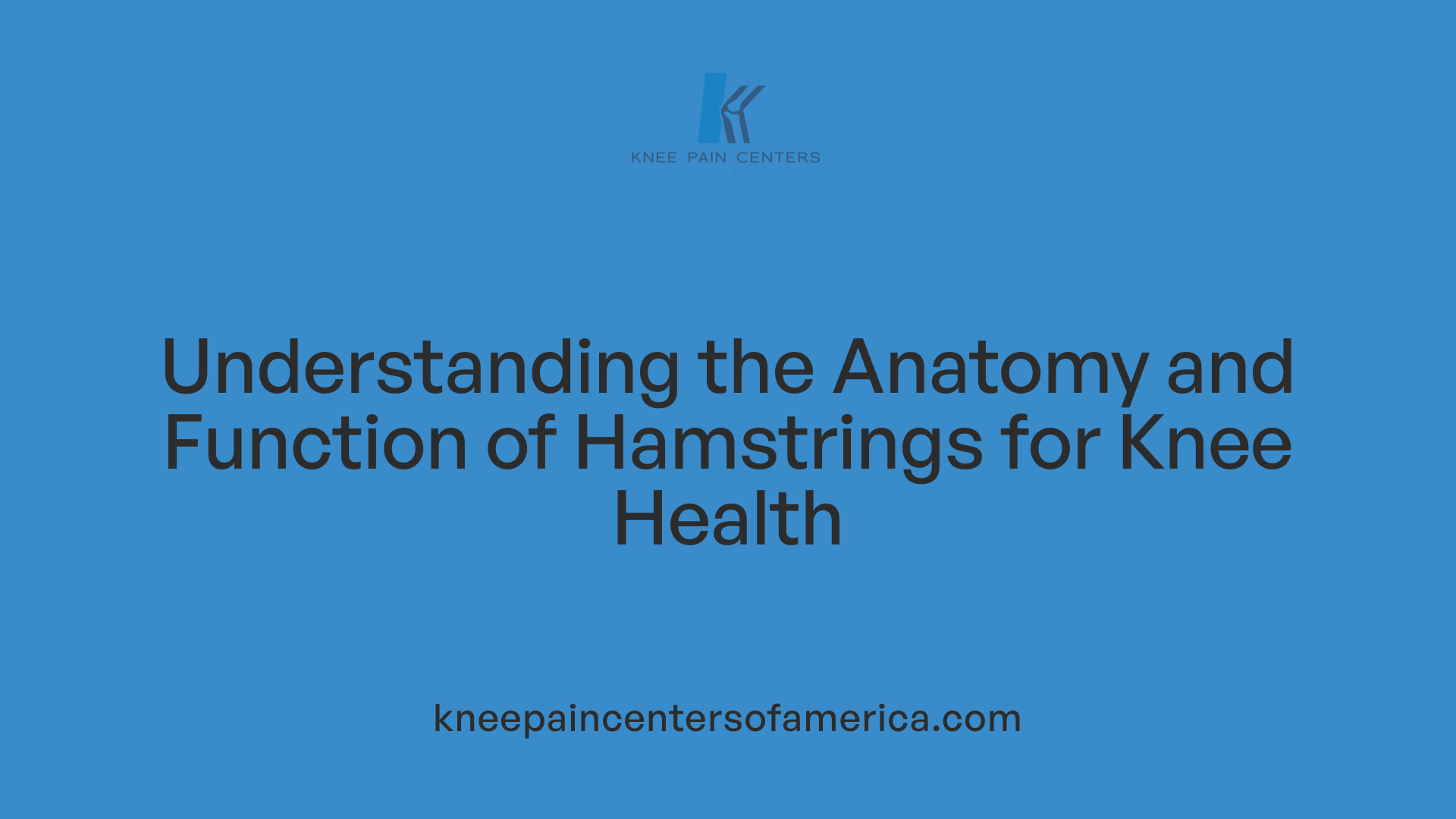 Understanding the Anatomy and Function of Hamstrings for Knee Health