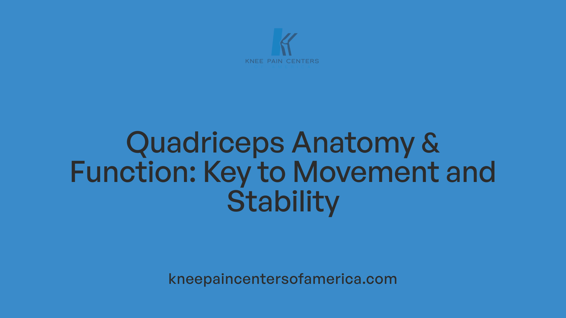 Quadriceps Anatomy &amp; Function: Key to Movement and Stability