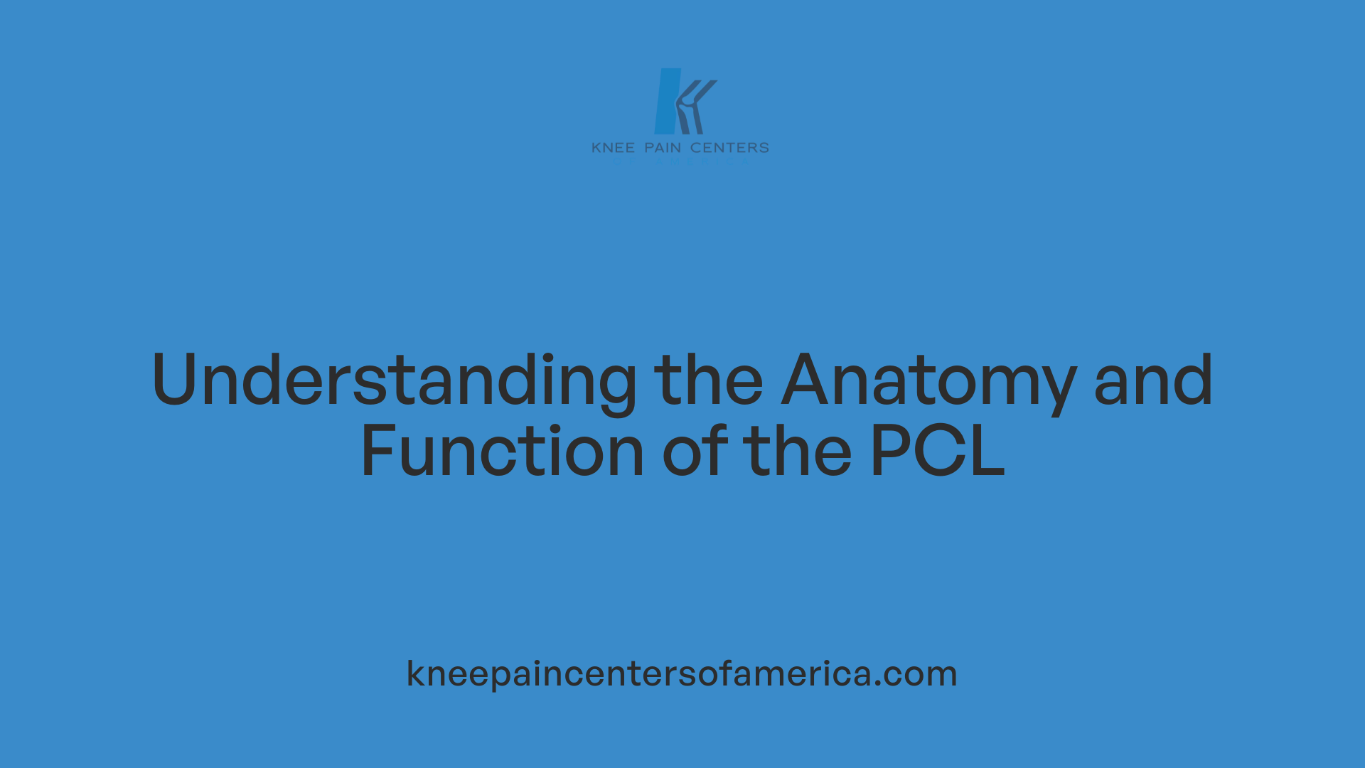 Understanding the Anatomy and Function of the PCL