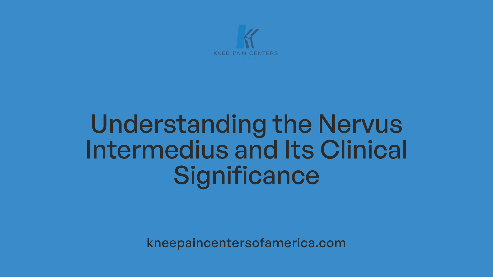 Understanding the Nervus Intermedius and Its Clinical Significance