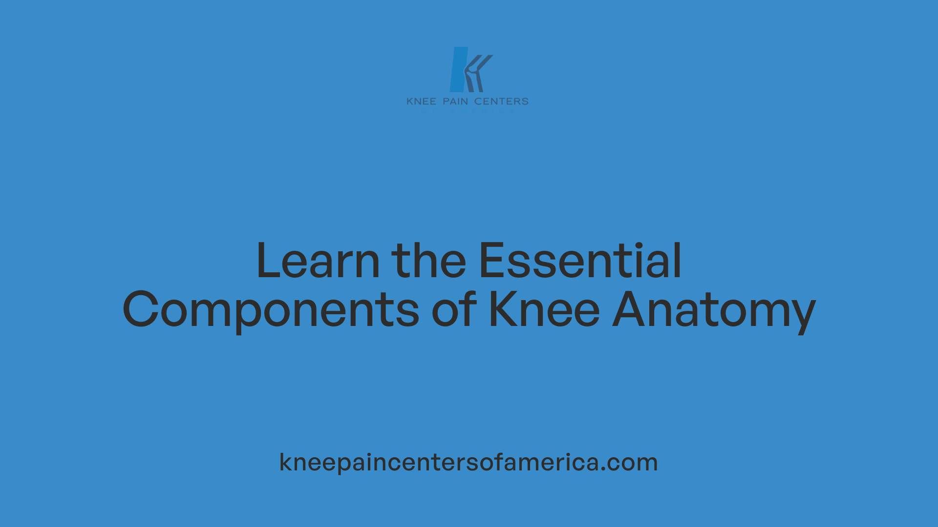 Learn the Essential Components of Knee Anatomy