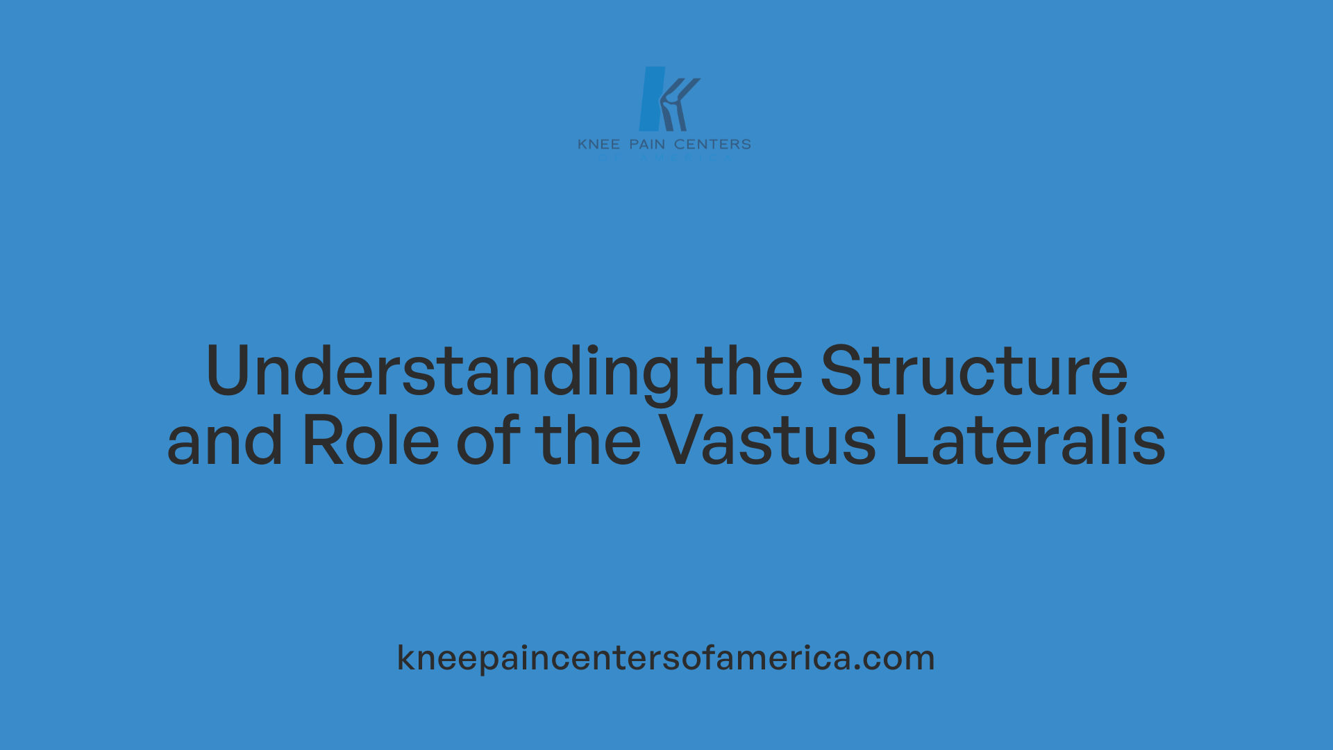 Understanding the Structure and Role of the Vastus Lateralis