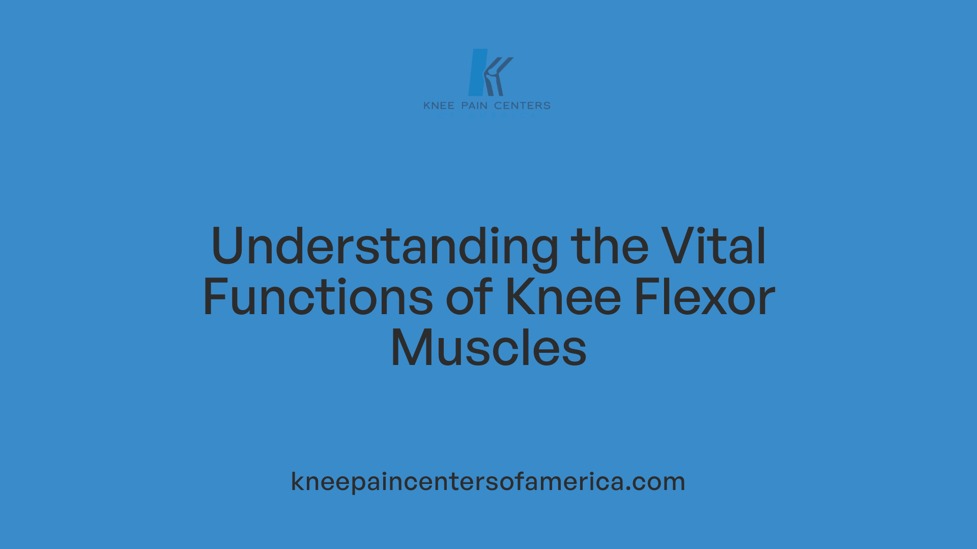 Understanding the Vital Functions of Knee Flexor Muscles