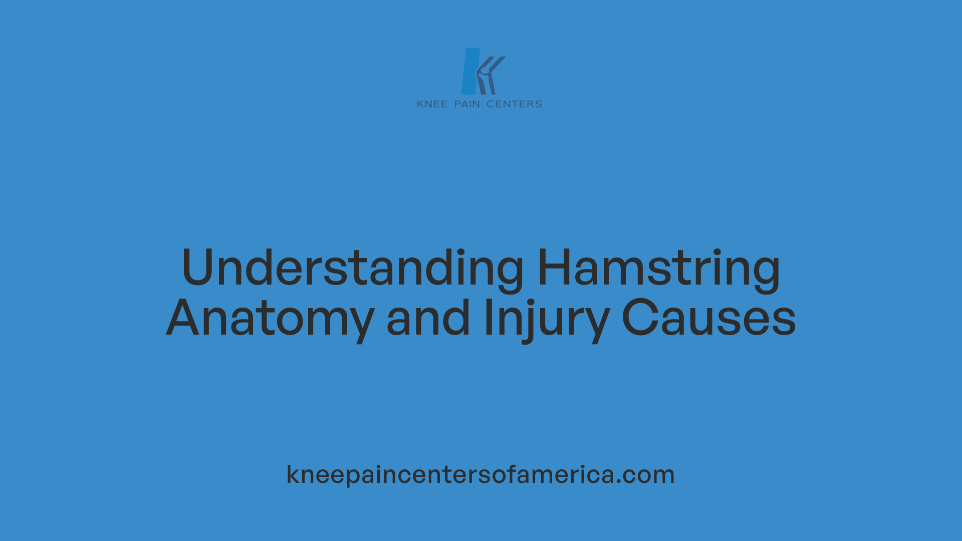 Understanding Hamstring Anatomy and Injury Causes