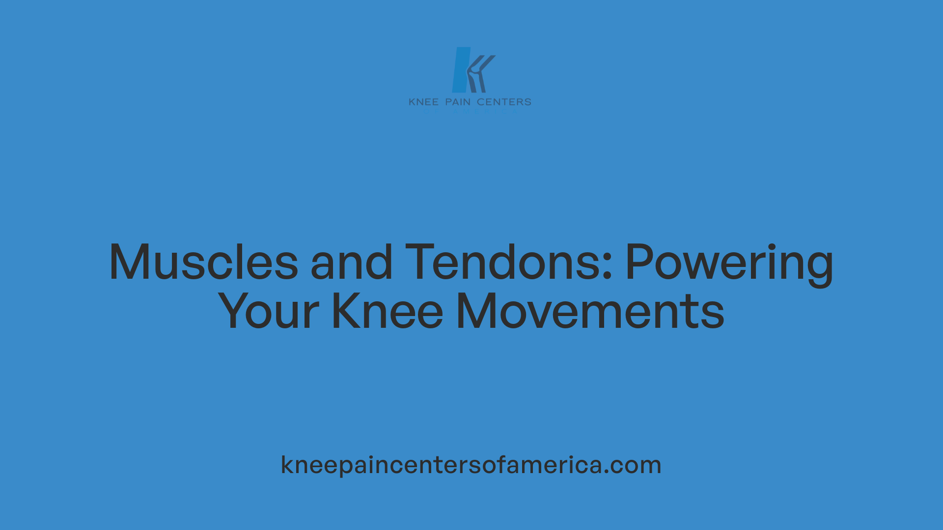 Muscles and Tendons: Powering Your Knee Movements