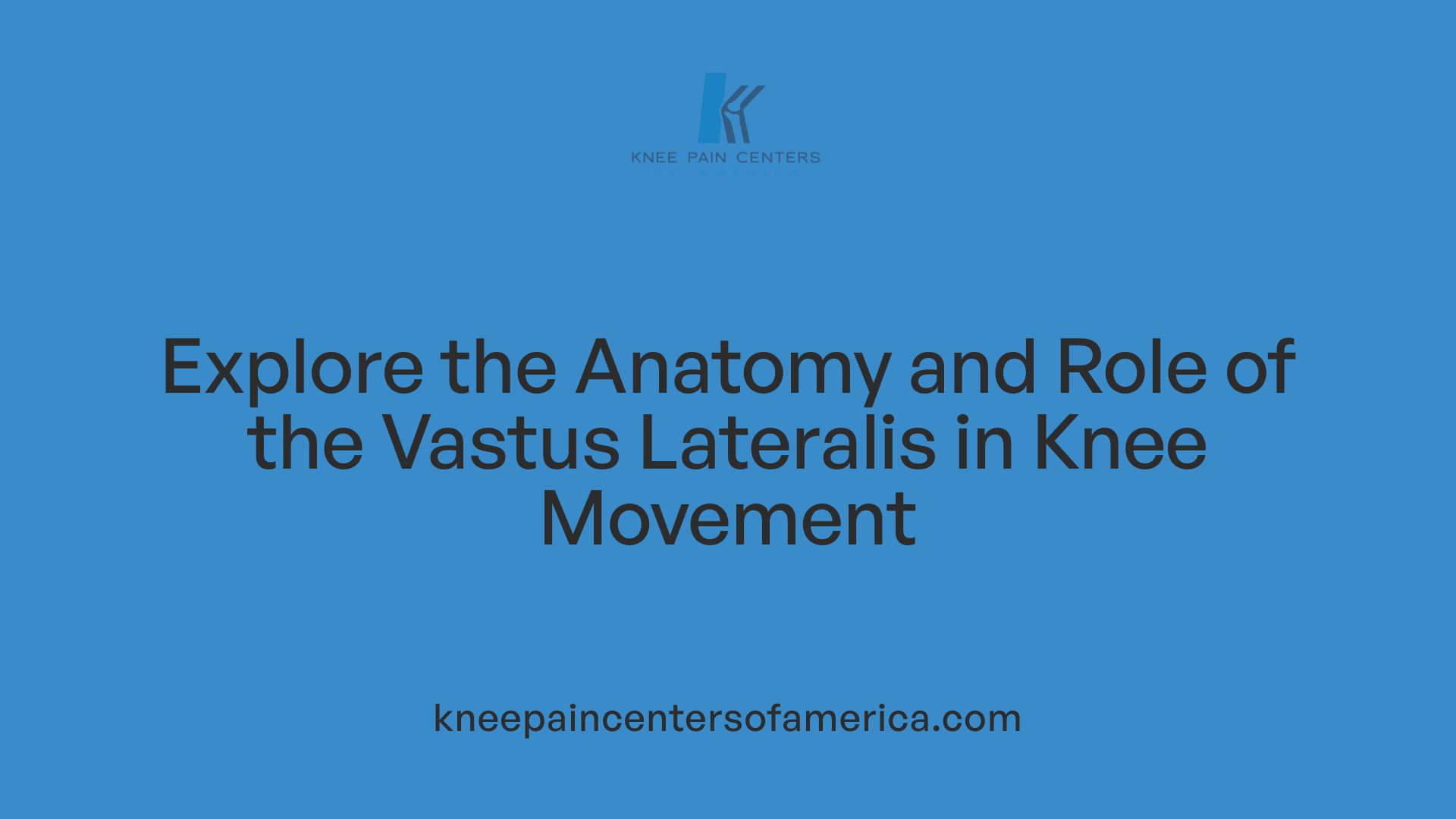 Explore the Anatomy and Role of the Vastus Lateralis in Knee Movement