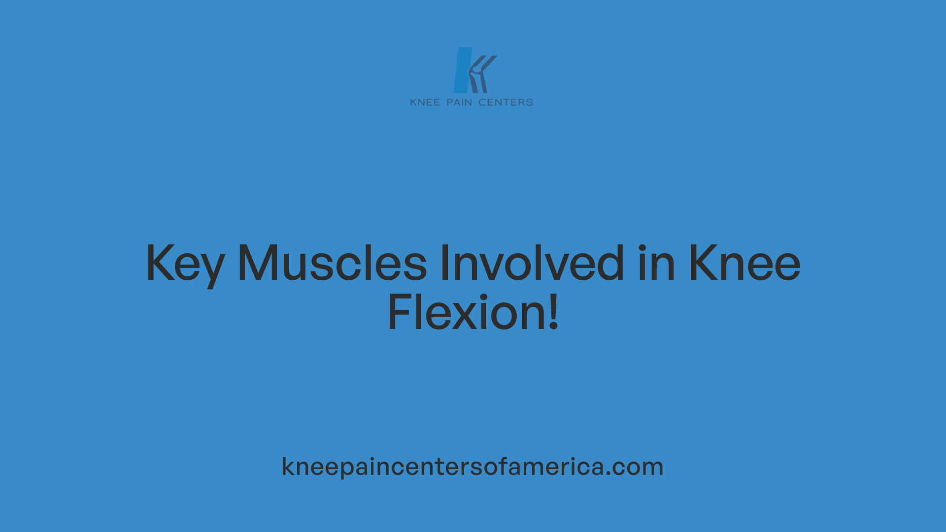 Key Muscles Involved in Knee Flexion!