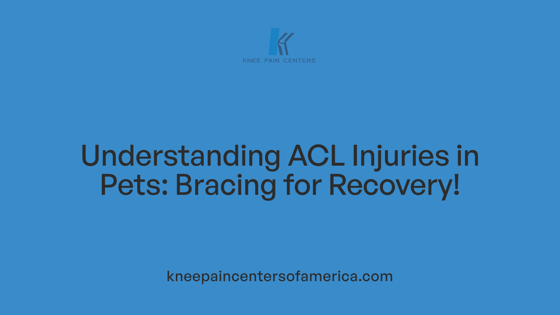 Understanding ACL Injuries in Pets: Bracing for Recovery!