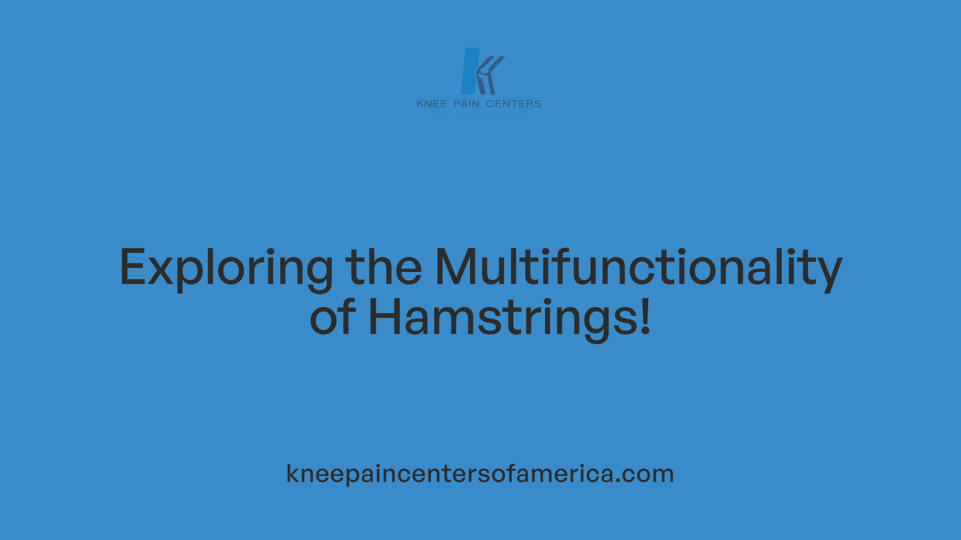 Exploring the Multifunctionality of Hamstrings!