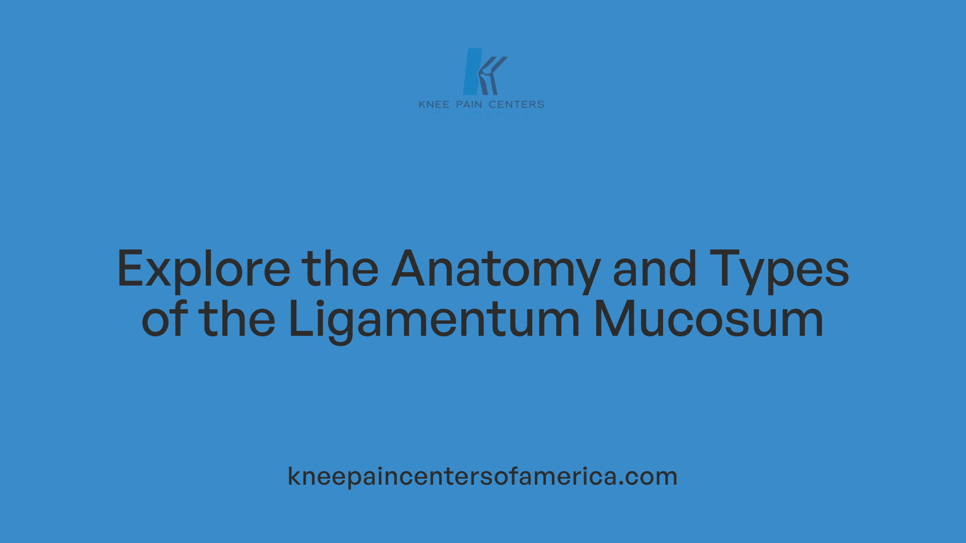 Explore the Anatomy and Types of the Ligamentum Mucosum