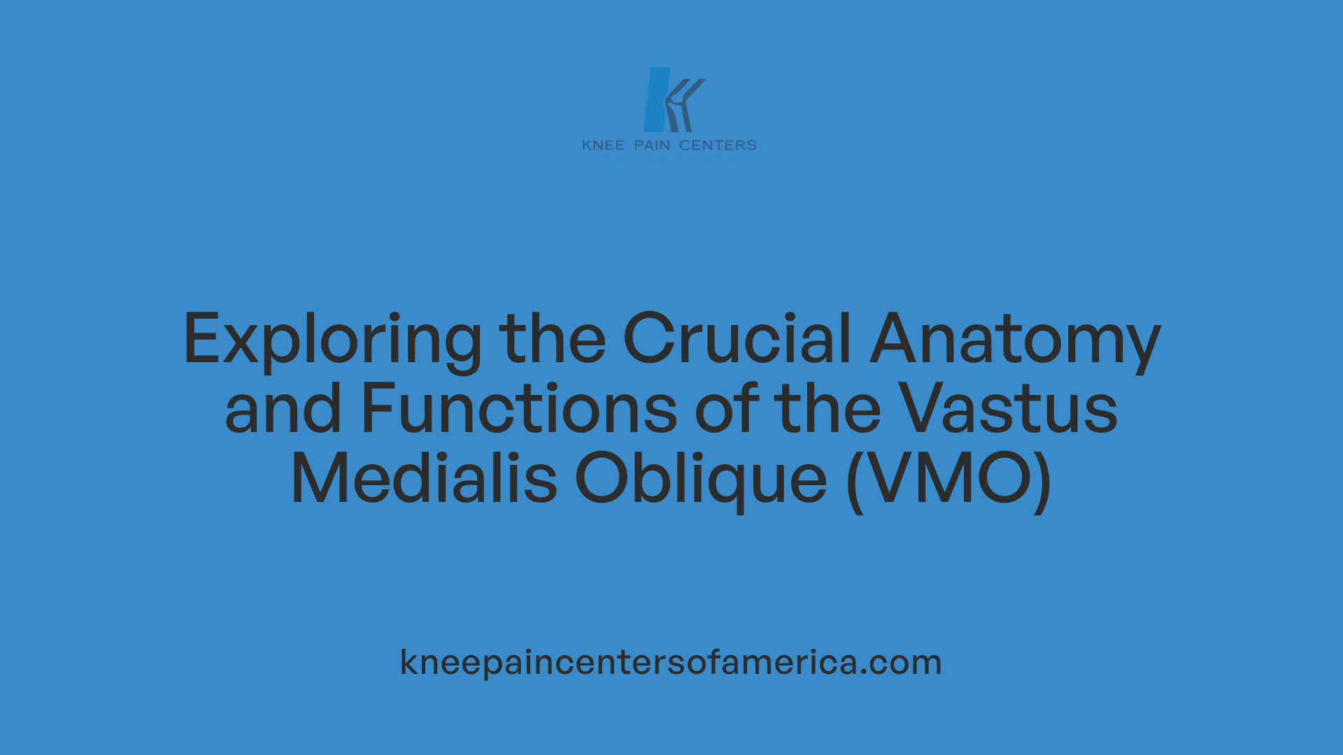 Exploring the Crucial Anatomy and Functions of the Vastus Medialis Oblique (VMO)