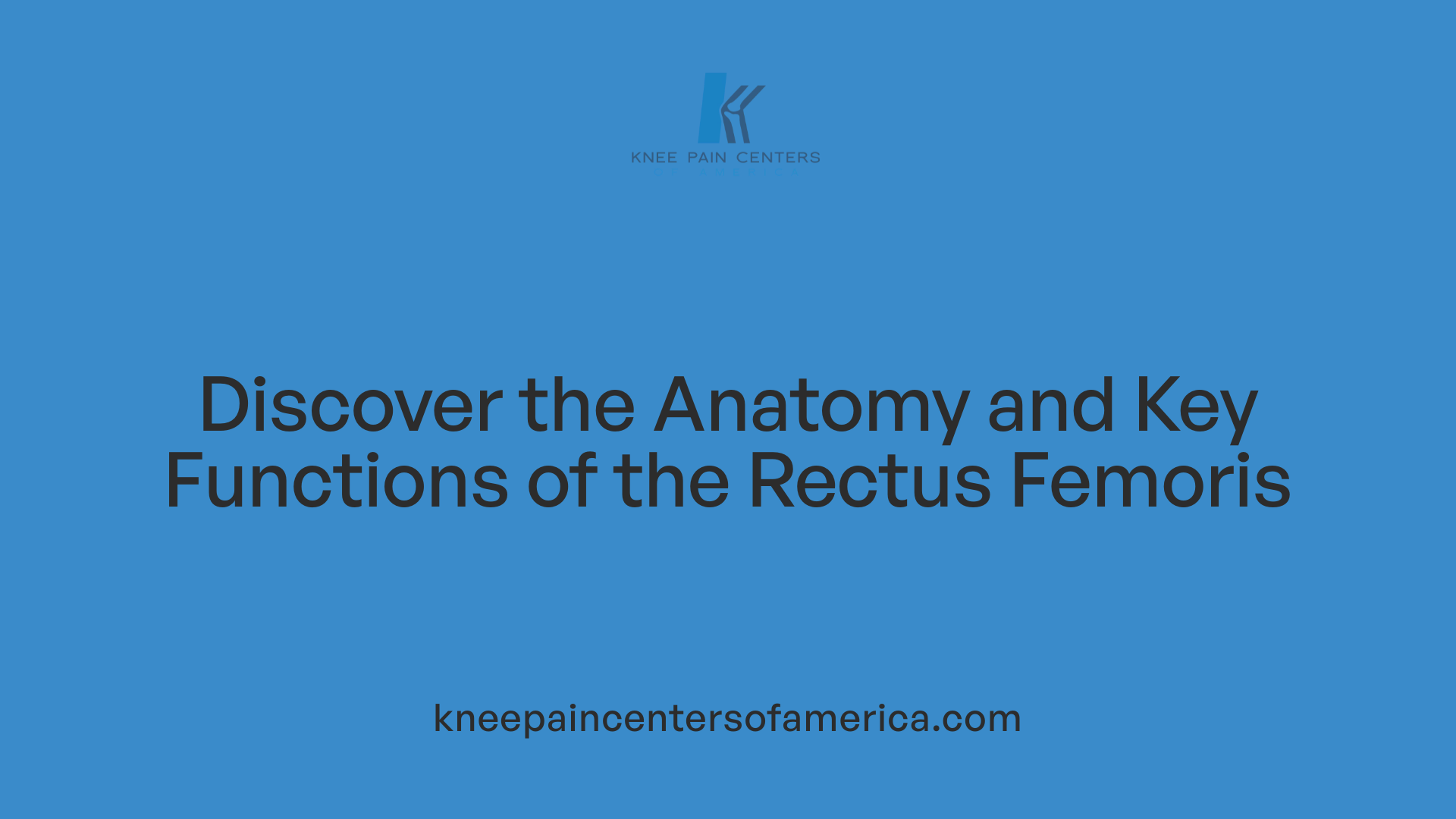 Discover the Anatomy and Key Functions of the Rectus Femoris