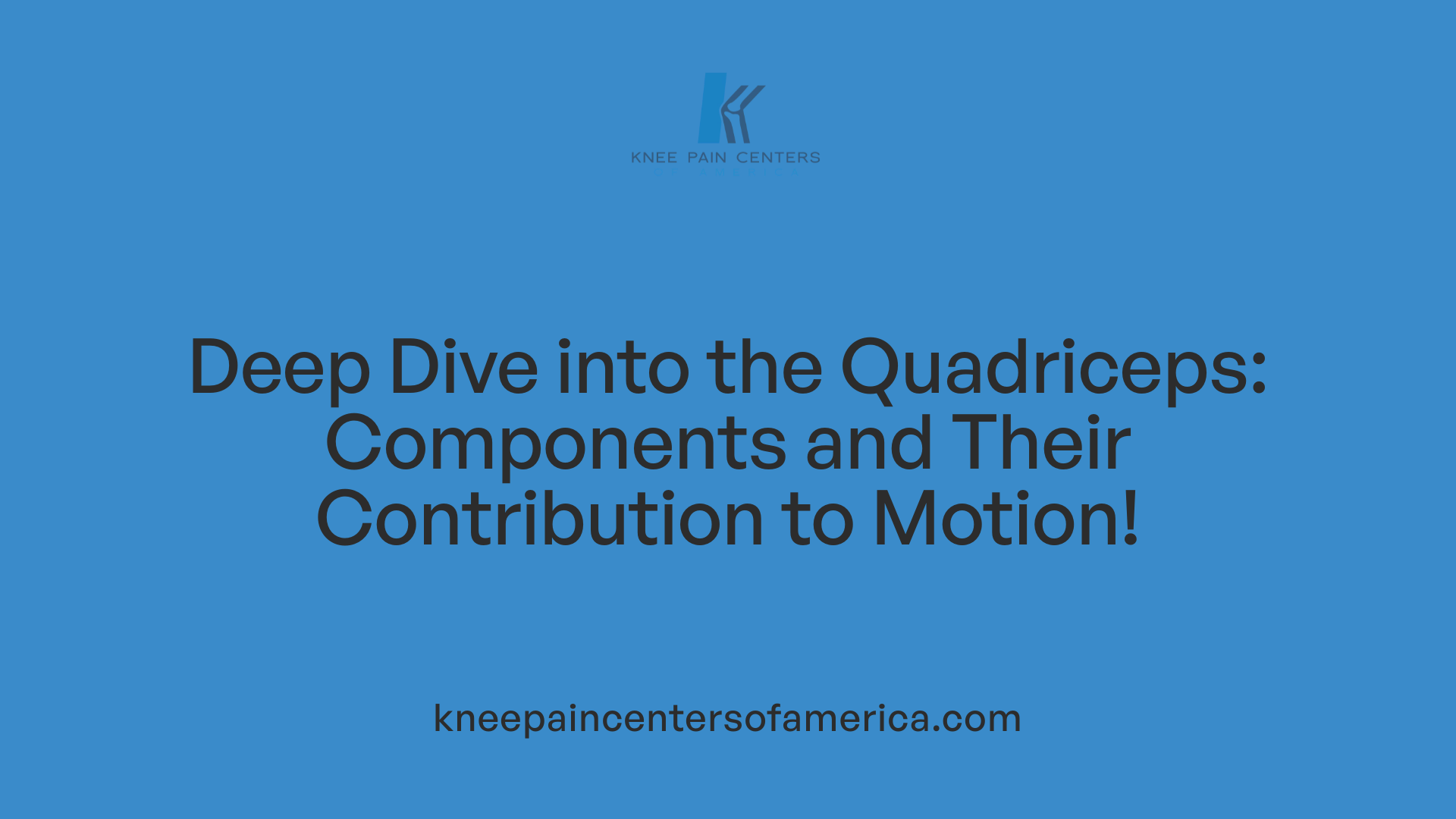 Deep Dive into the Quadriceps: Components and Their Contribution to Motion!