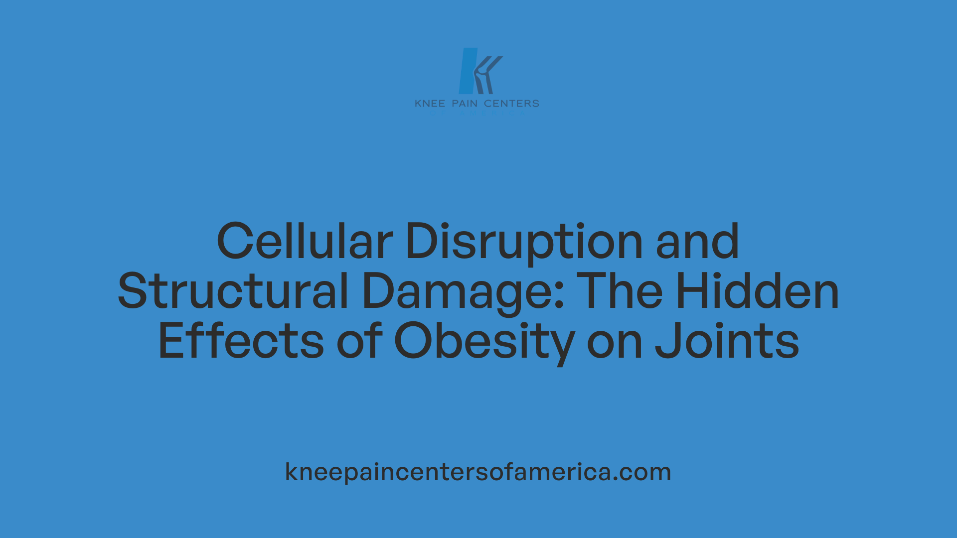 Cellular Disruption and Structural Damage: The Hidden Effects of Obesity on Joints