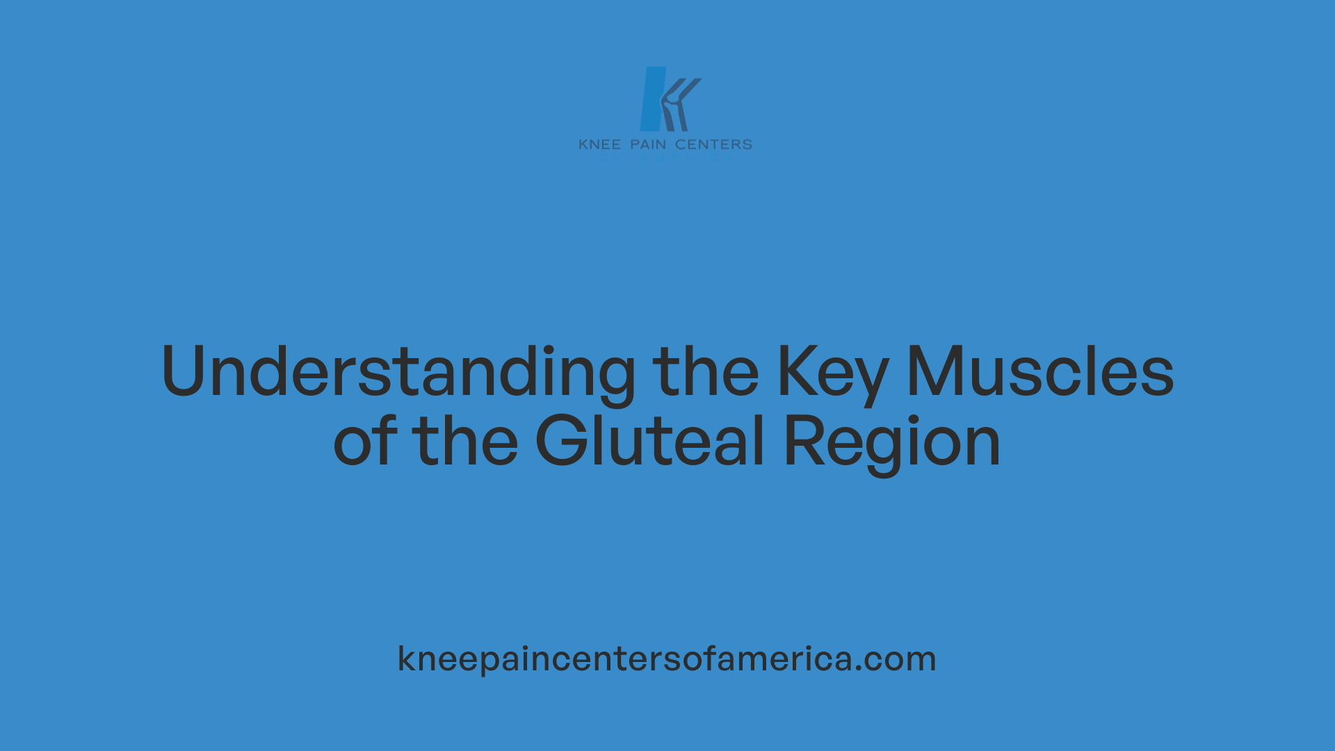 Understanding the Key Muscles of the Gluteal Region