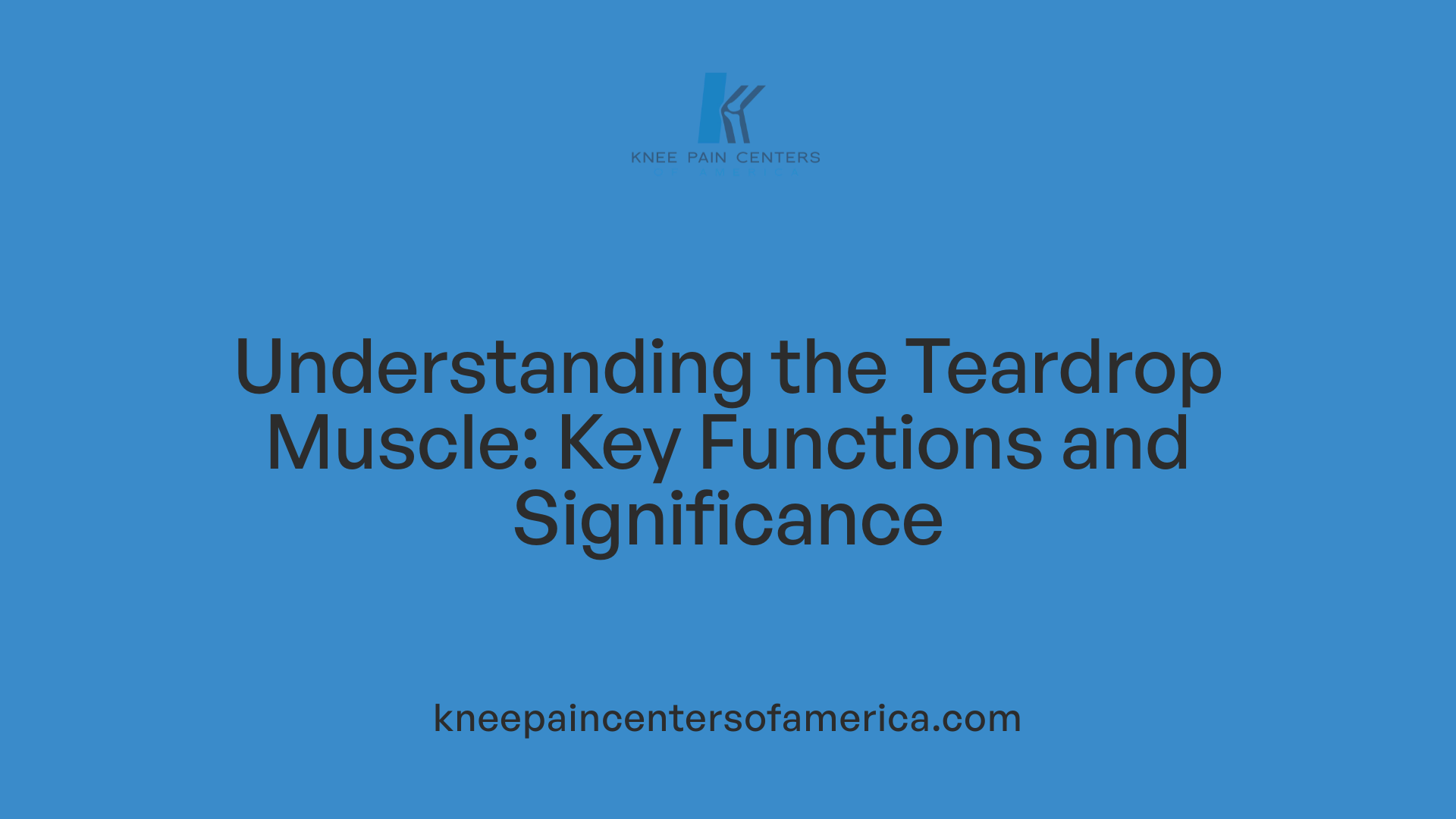Understanding the Teardrop Muscle: Key Functions and Significance